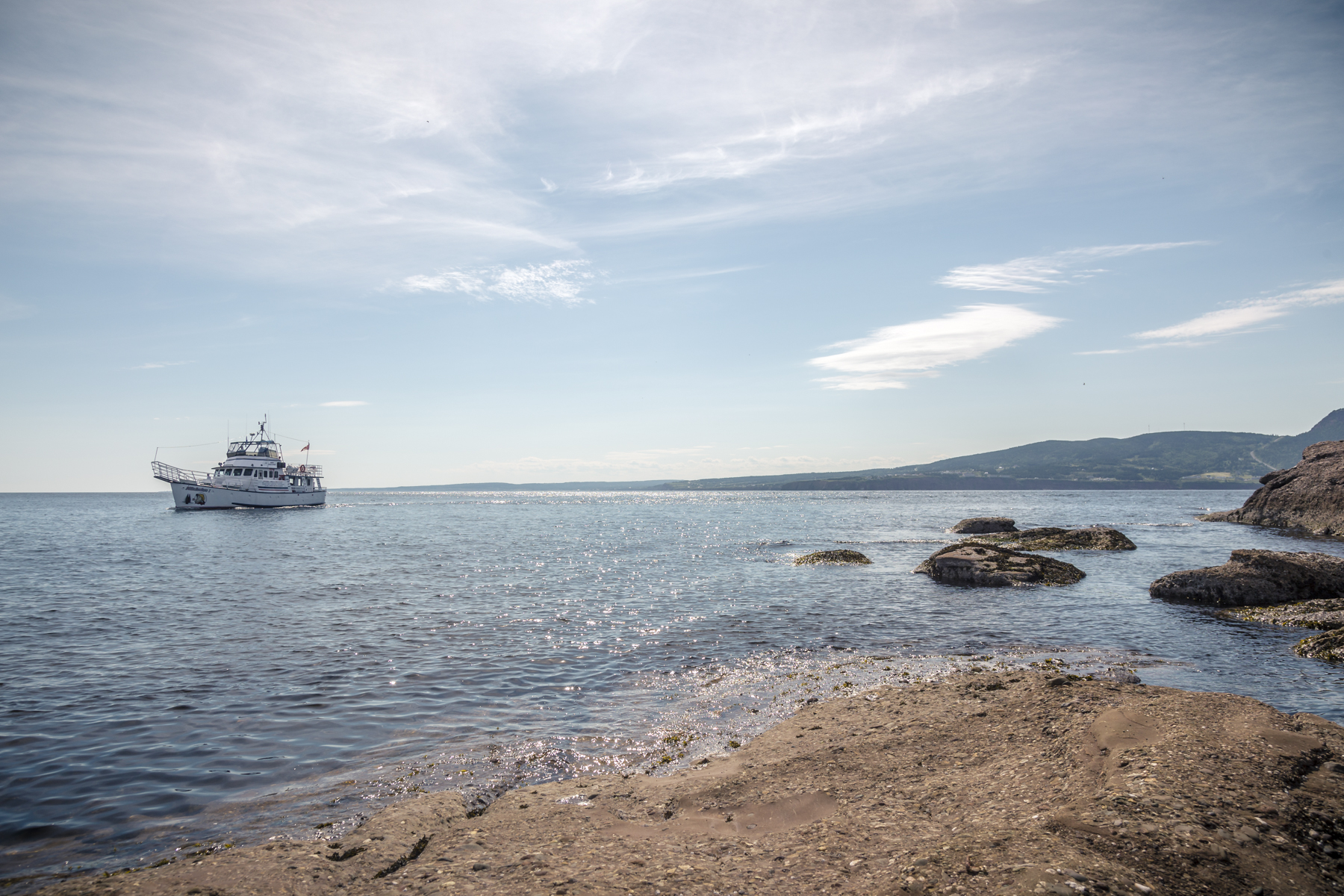 Bonaventure Island - Île Bonaventure - Percé - Quebec - Tora Photography