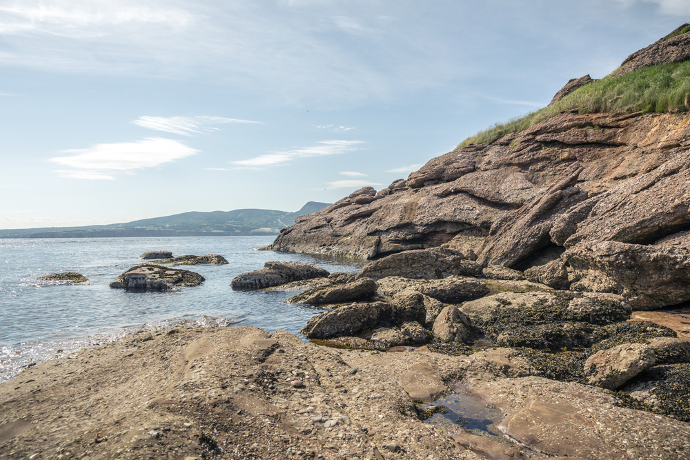 Bonaventure Island - Île Bonaventure - Percé - Quebec - Tora Photography