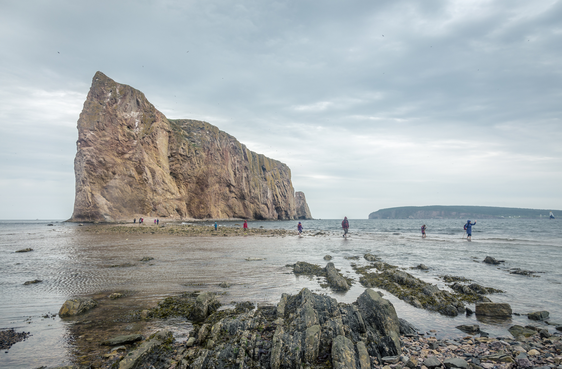 Rocher Percé - Percé Rock - Gaspesie - Quebec - Canada - Tora Photography