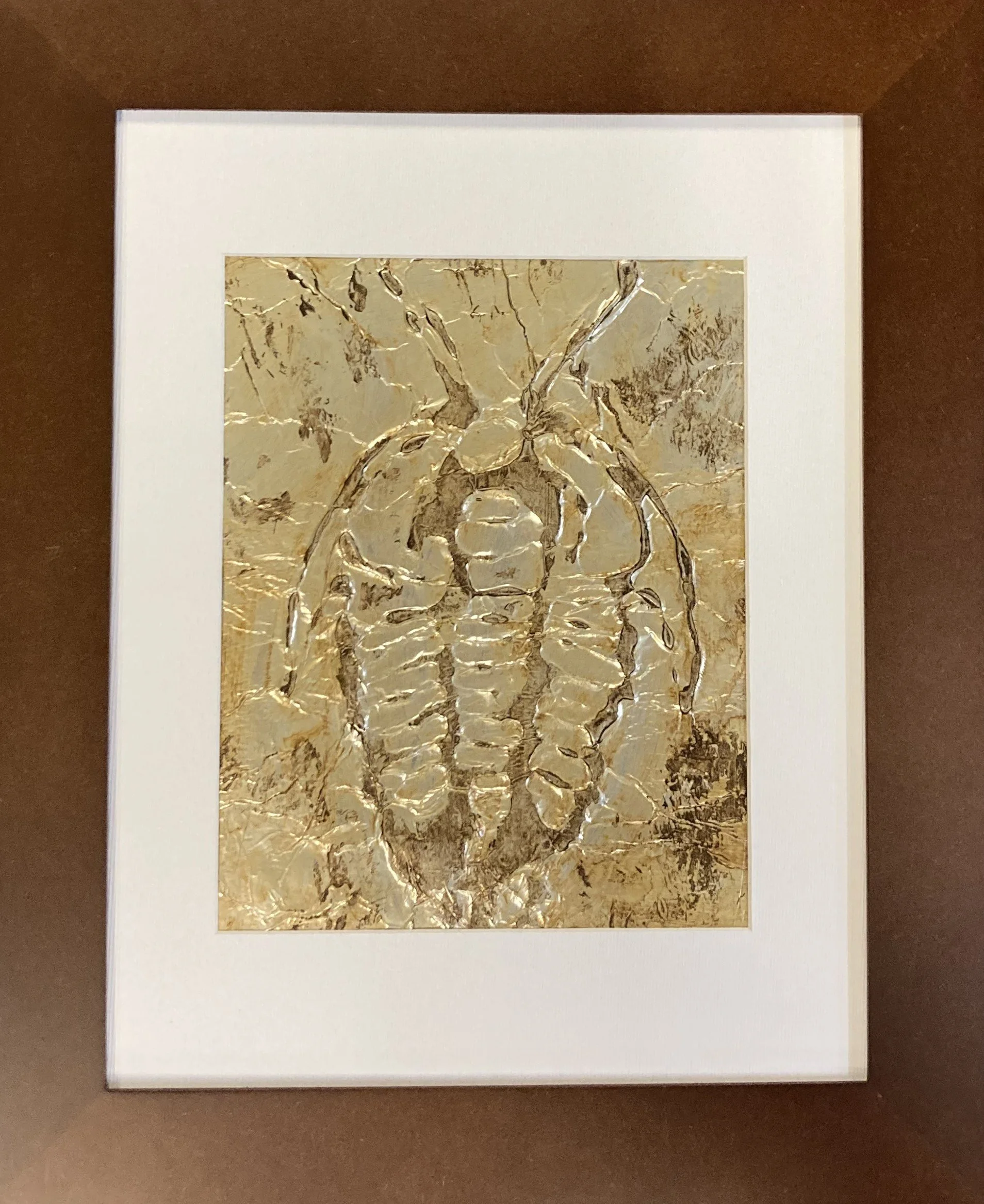 Betts - Curious Fossils.JPG