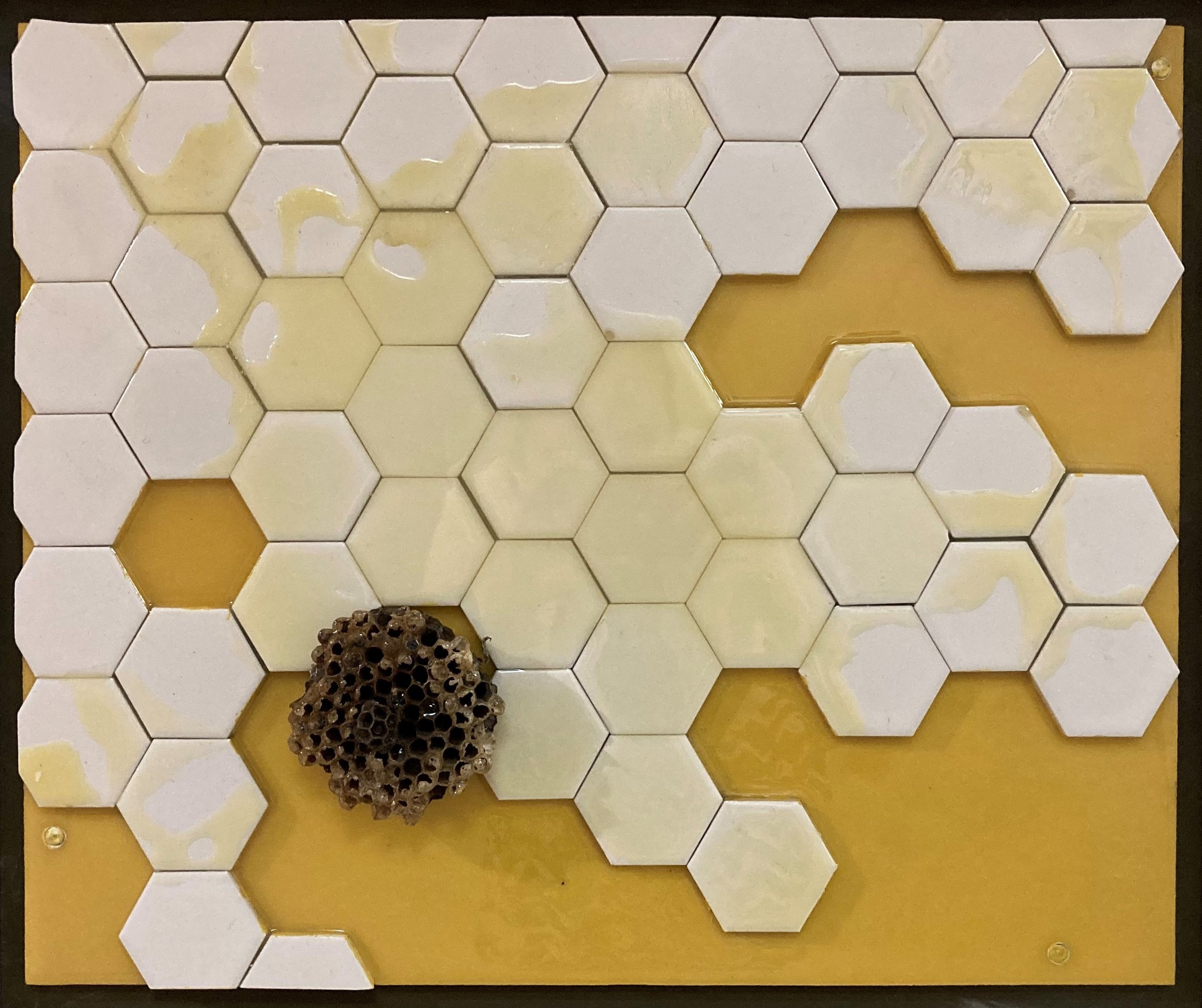 VanEtten - Honey.JPG