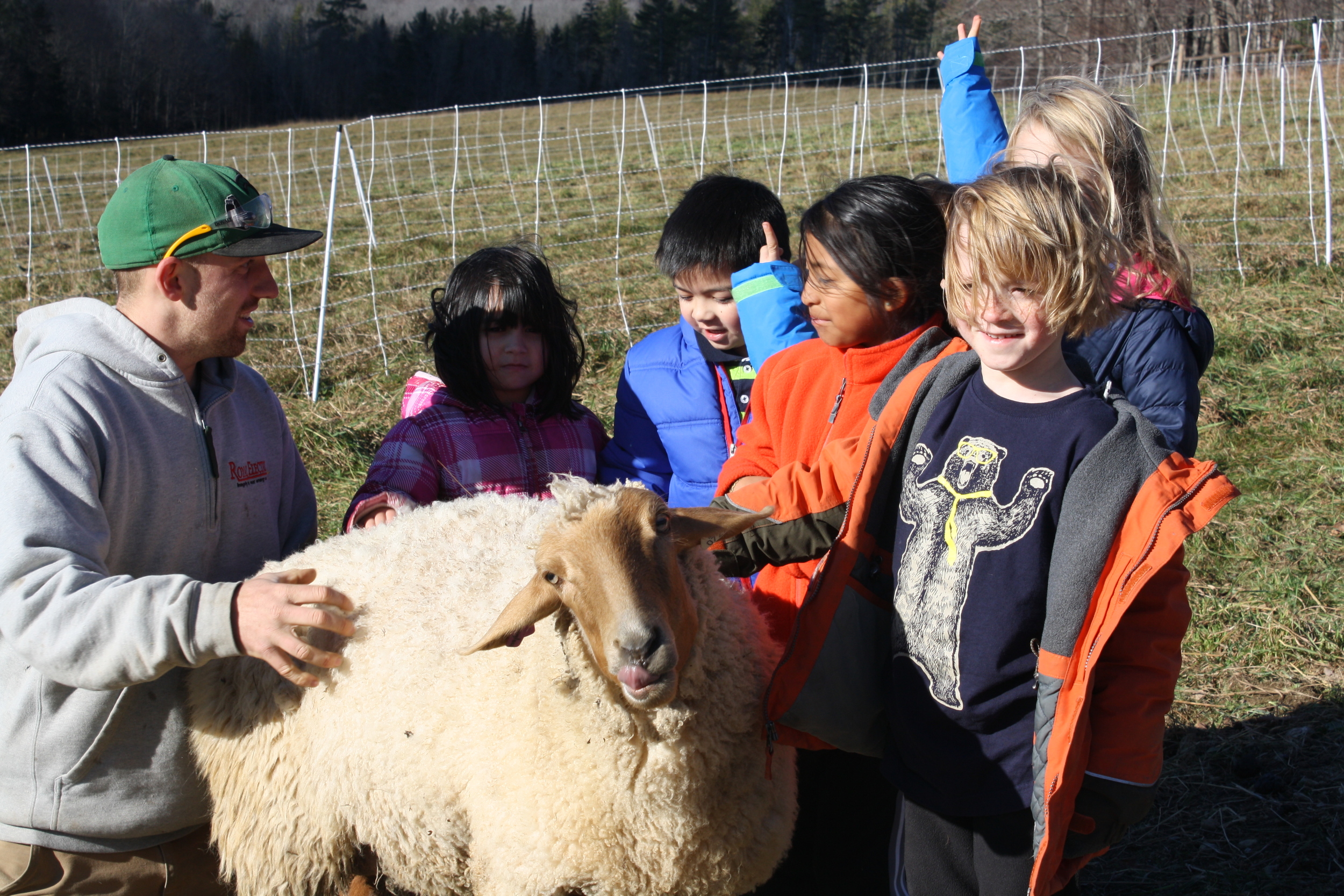 Lily's fiance "Goose" gives her Read Aloud group sheep scratching lessons