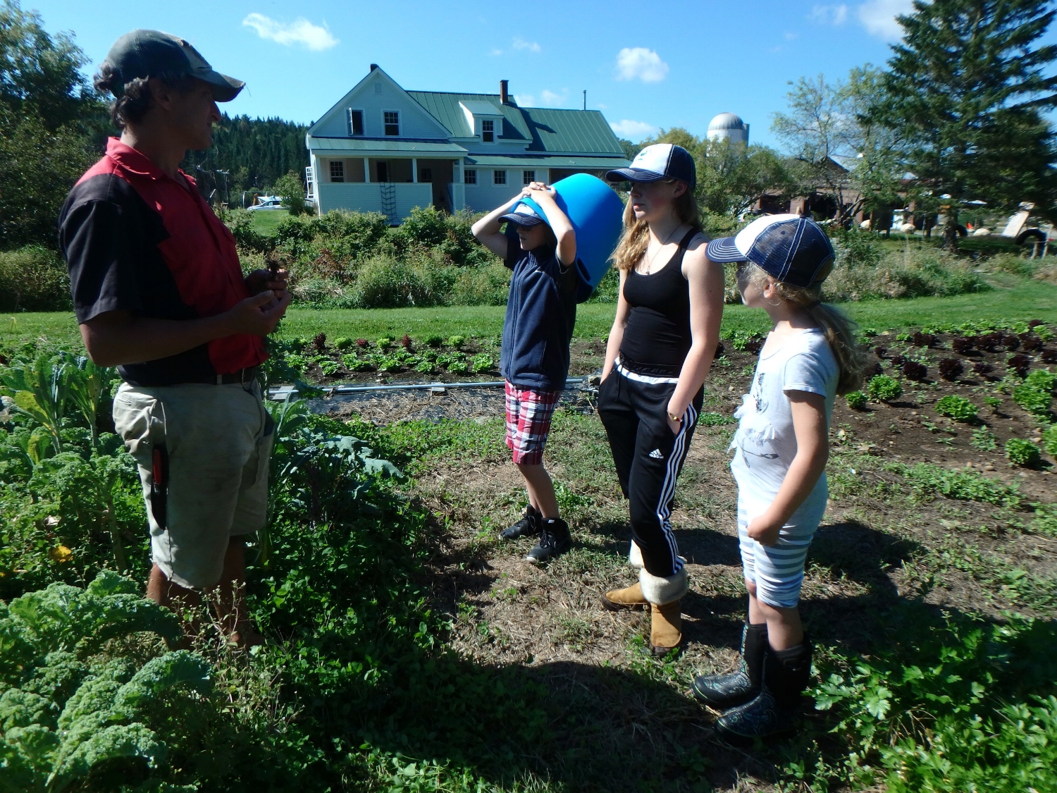 Farmer Tim teaches ori, zoe and aida about using clover as a nitrogen fixer in the soil.