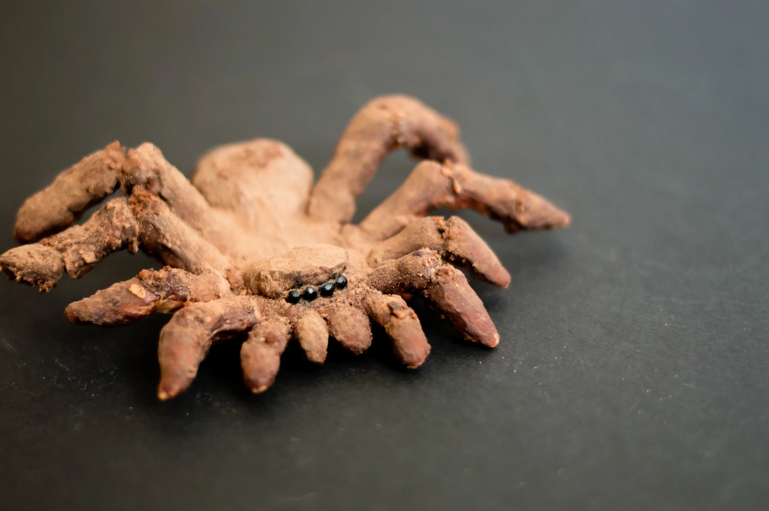 Chocolate, Caramel, and Coconut Tarantula Cookies