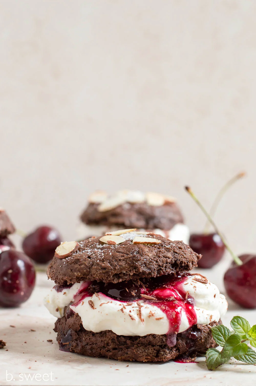 Chocolate Cherry Shortcake-5.jpg