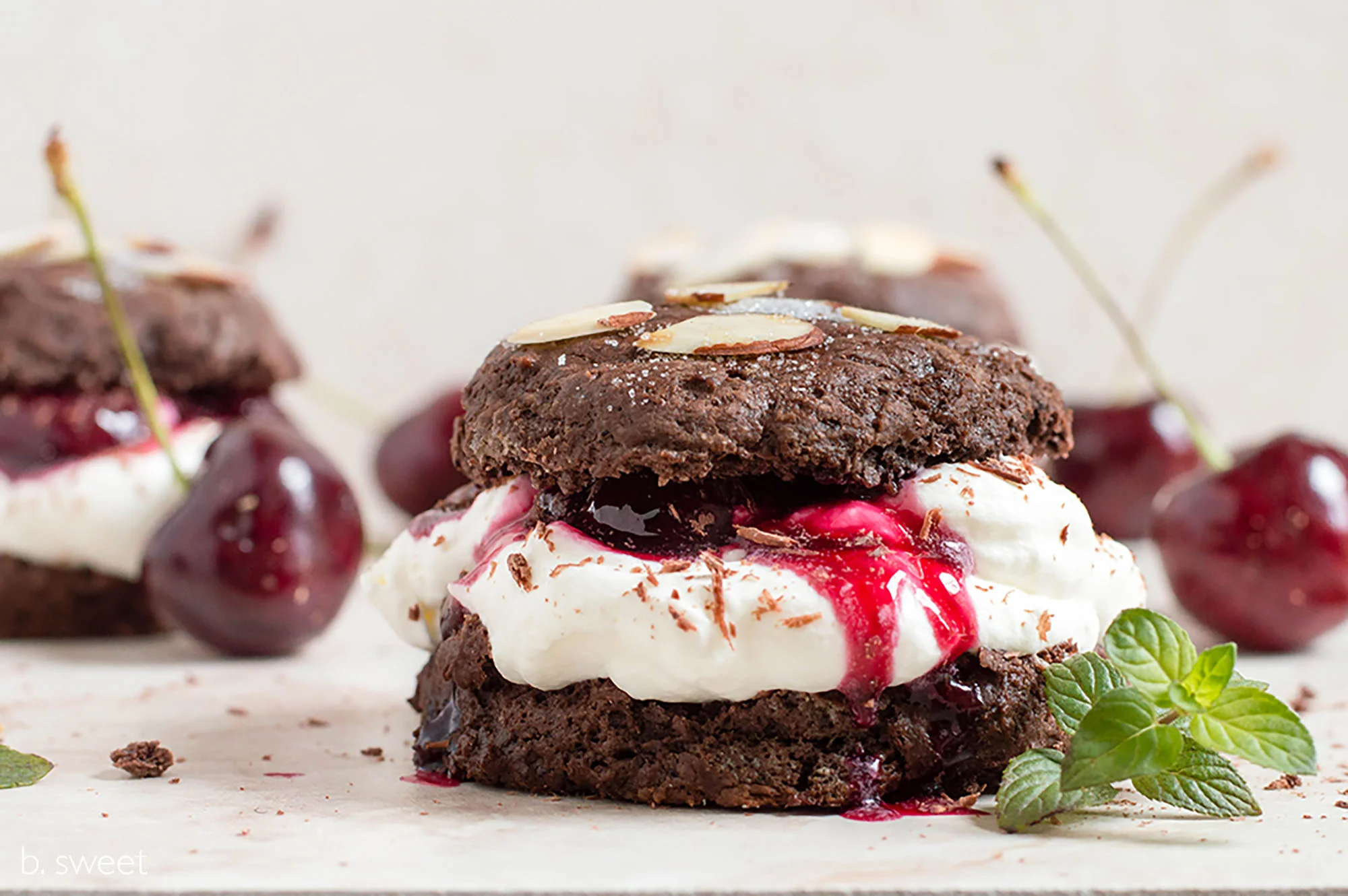 Chocolate Cherry Shortcake-2.jpg