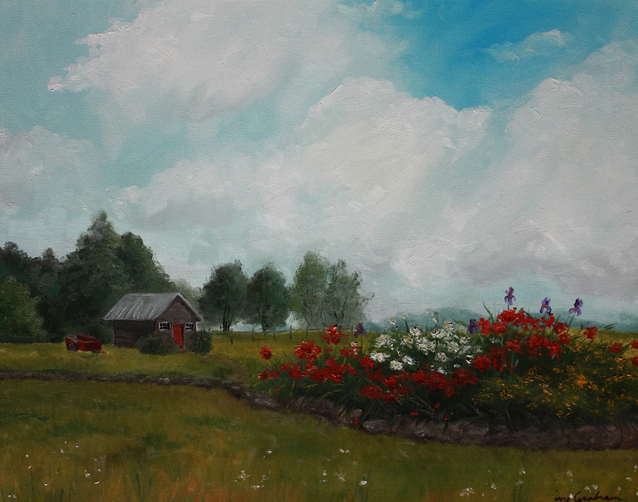 Sheep Farm Landscape