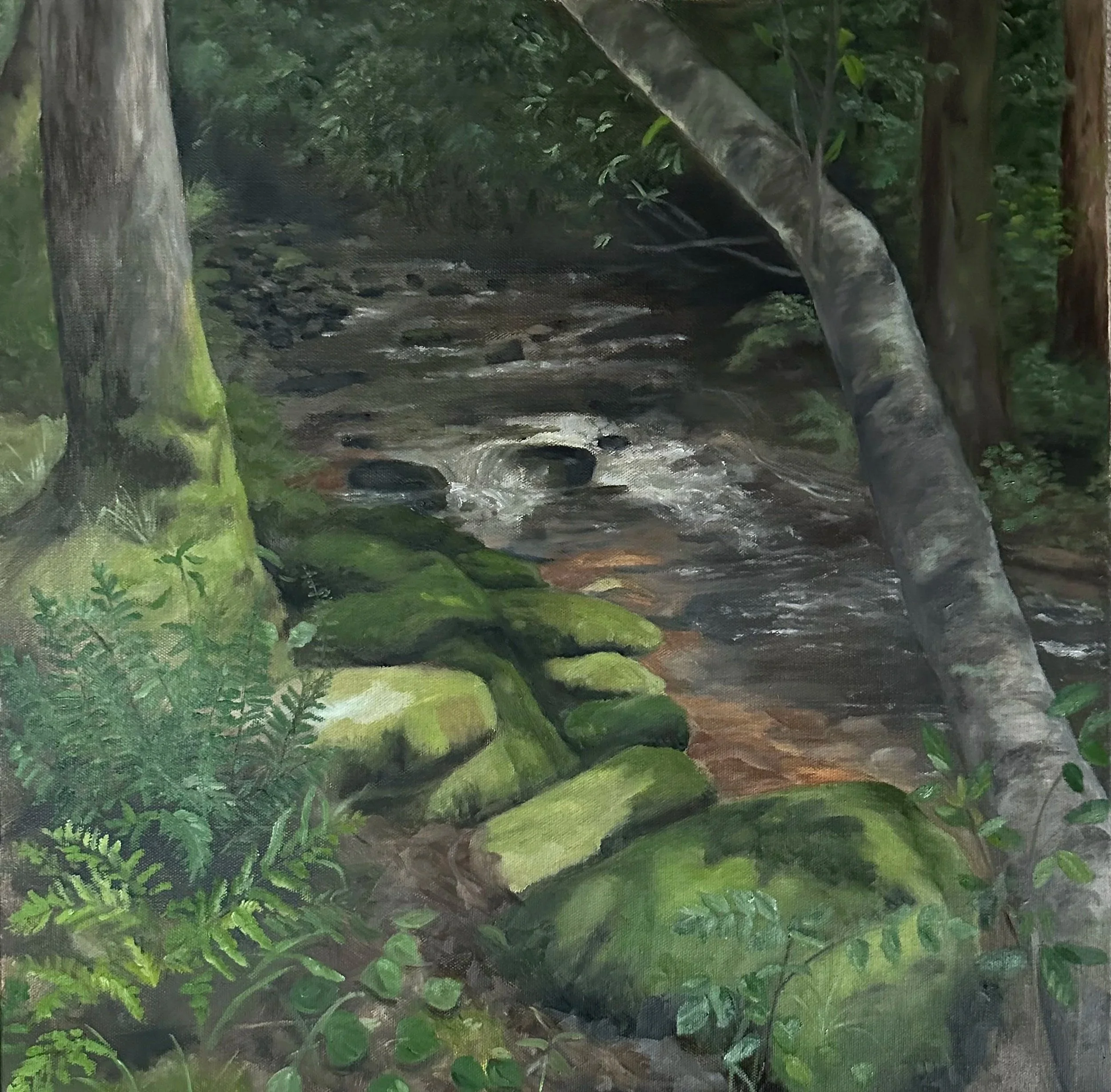 Big Fork Ridge Trail, Cataloochee