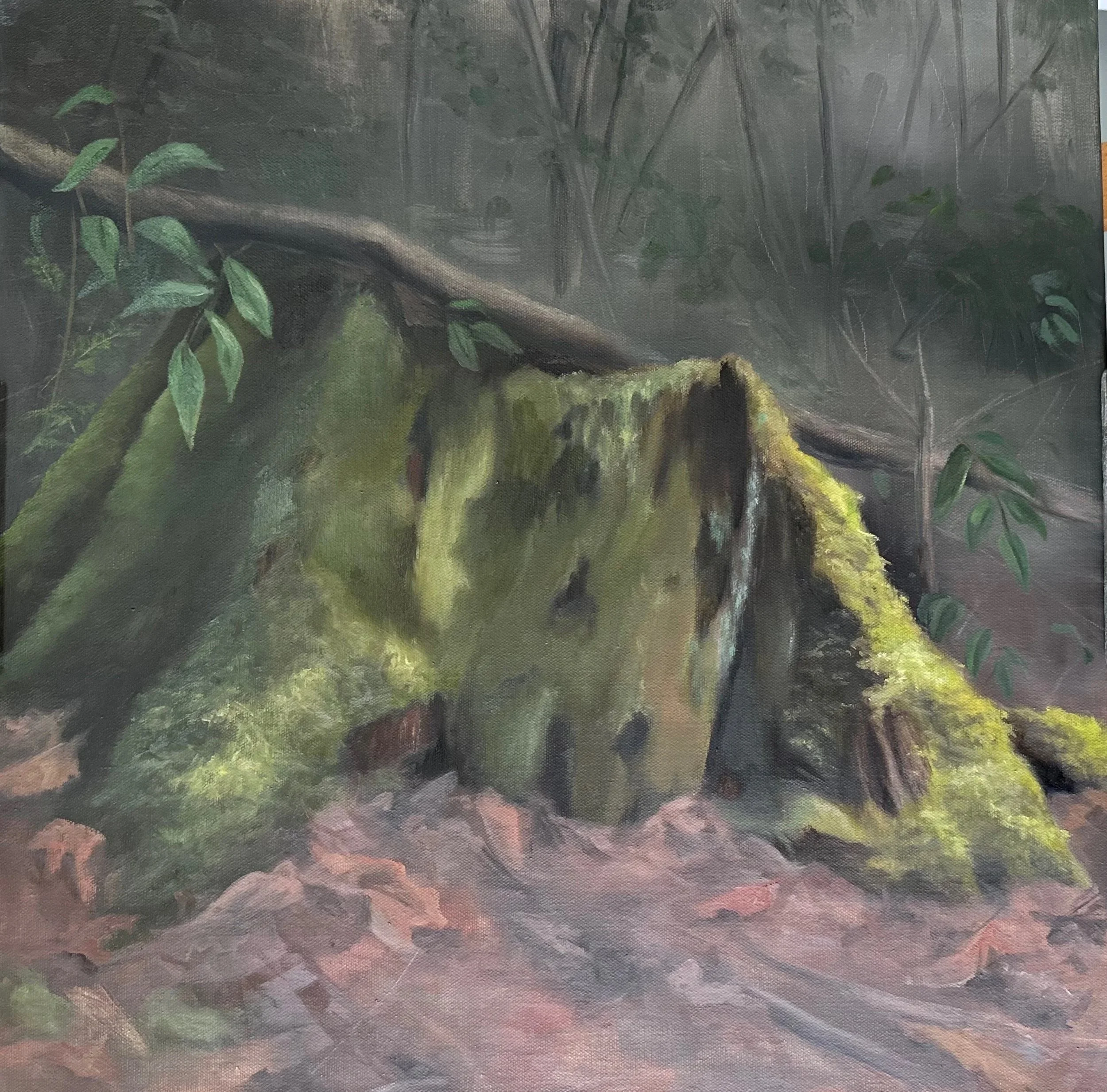 Pink Beds Trail, Pisgah Forest