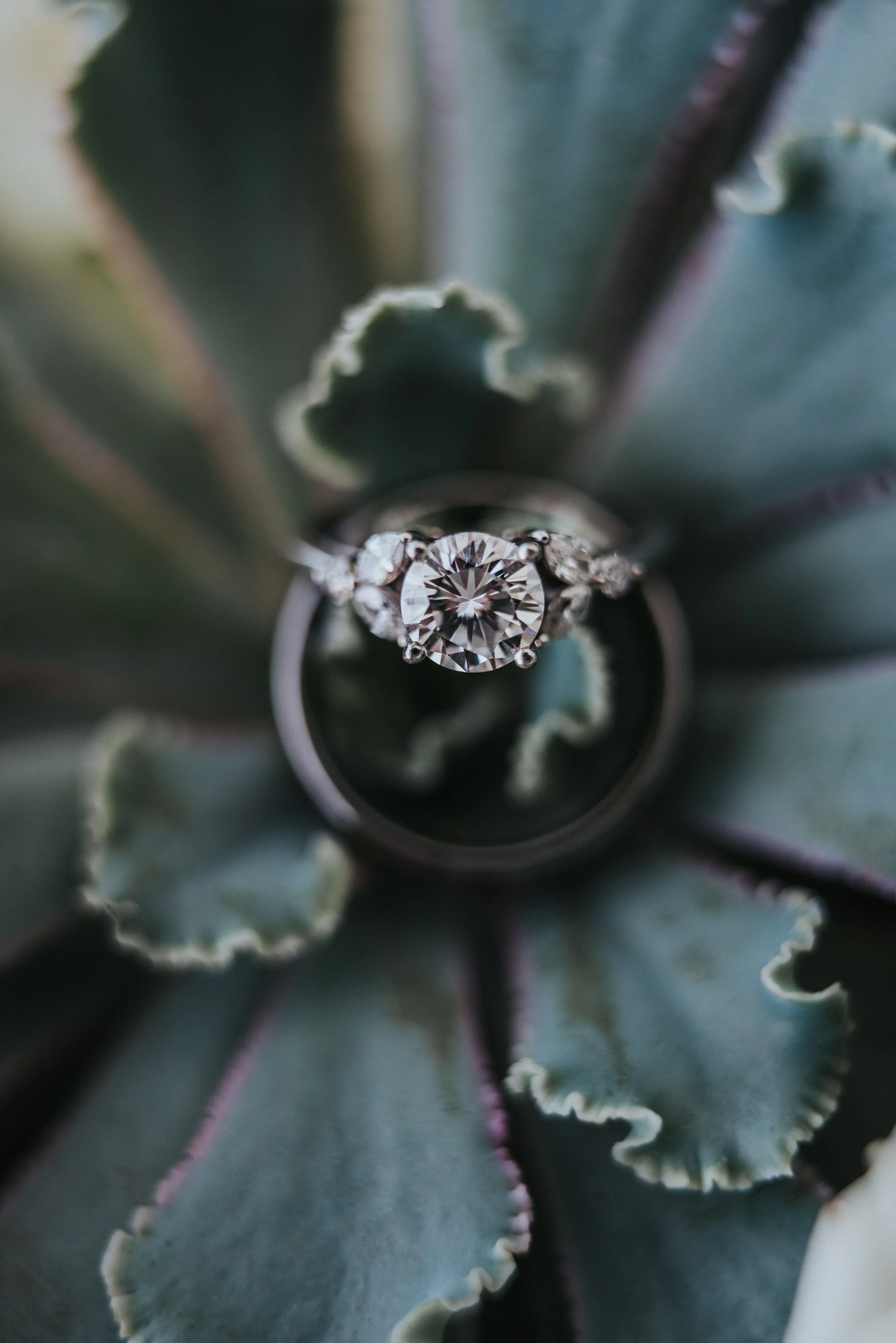  wedding day photos detailed wedding day shots ring photography engagement ring diamond ring wedding band bride and groom utah wedding photographer cache valley photographer wedding jewelry silver wedding ring artistic photos #logantemple #utahweddin