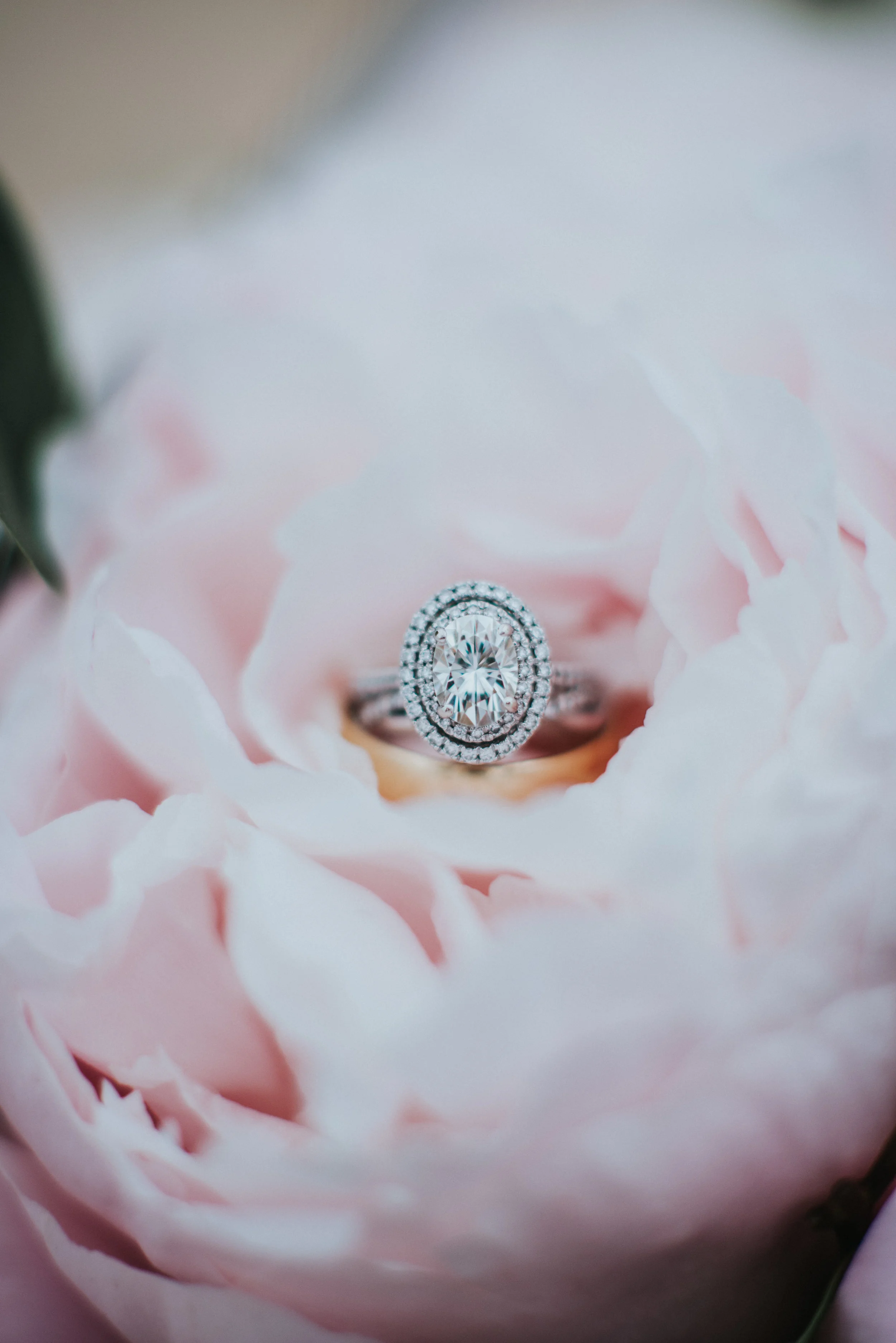  round halo diamond wedding rings sterling silver wedding band pink rose close up san diego wedding photographer formal session windansea beach La Jolla #lajollacaliforniaweddingphotographer #sandiegotemple #windanseabeachcalifornia #northernutahwedd