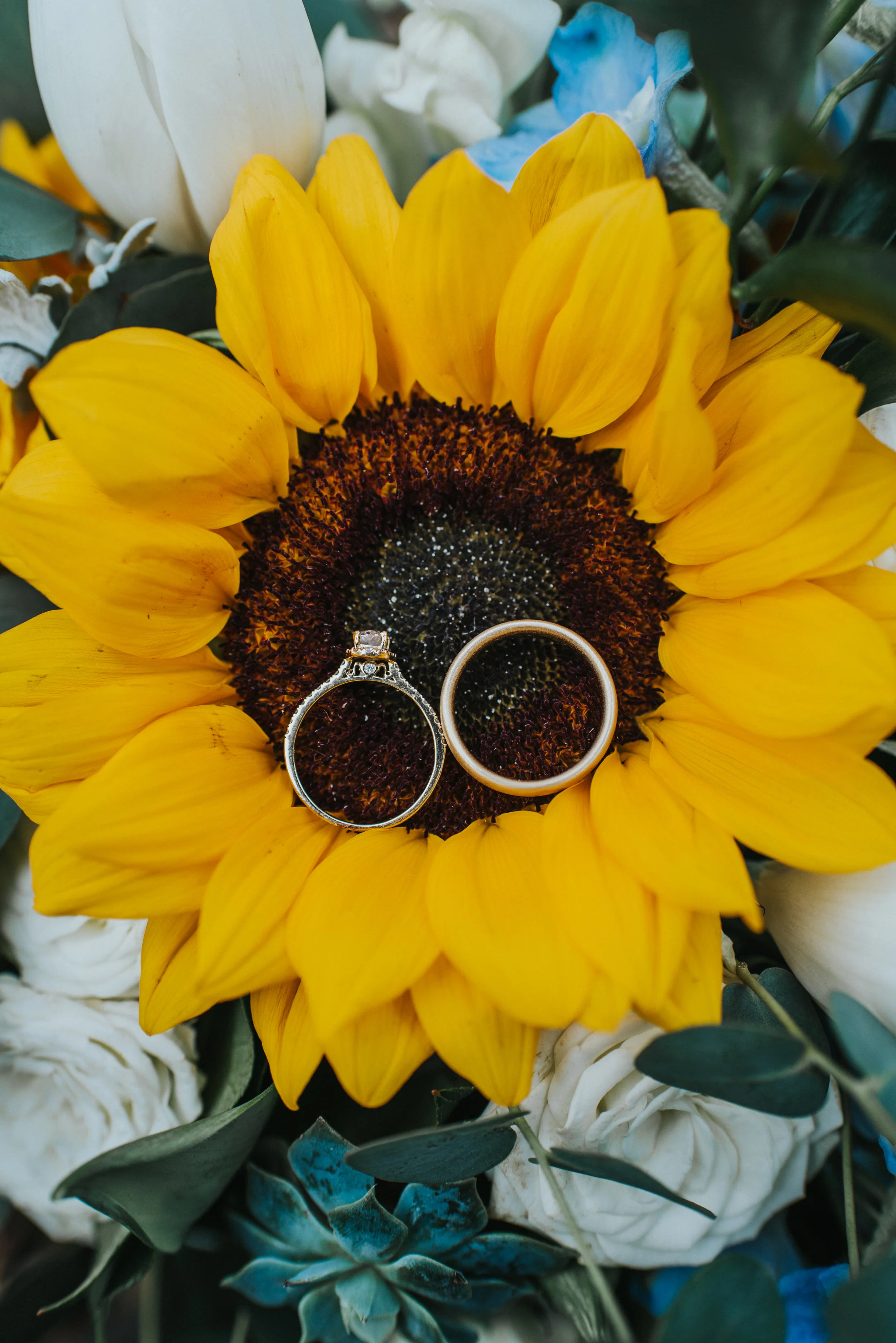  wedding details sunflower yellow blue and white wedding bouquet wedding band photos halo wedding band professional cache valley utah wedding photographer #Loganutah #cachevalleyphotographer #Ido #Isaidyes #oldrockchurch #weddinginspo #utah #utahwedd