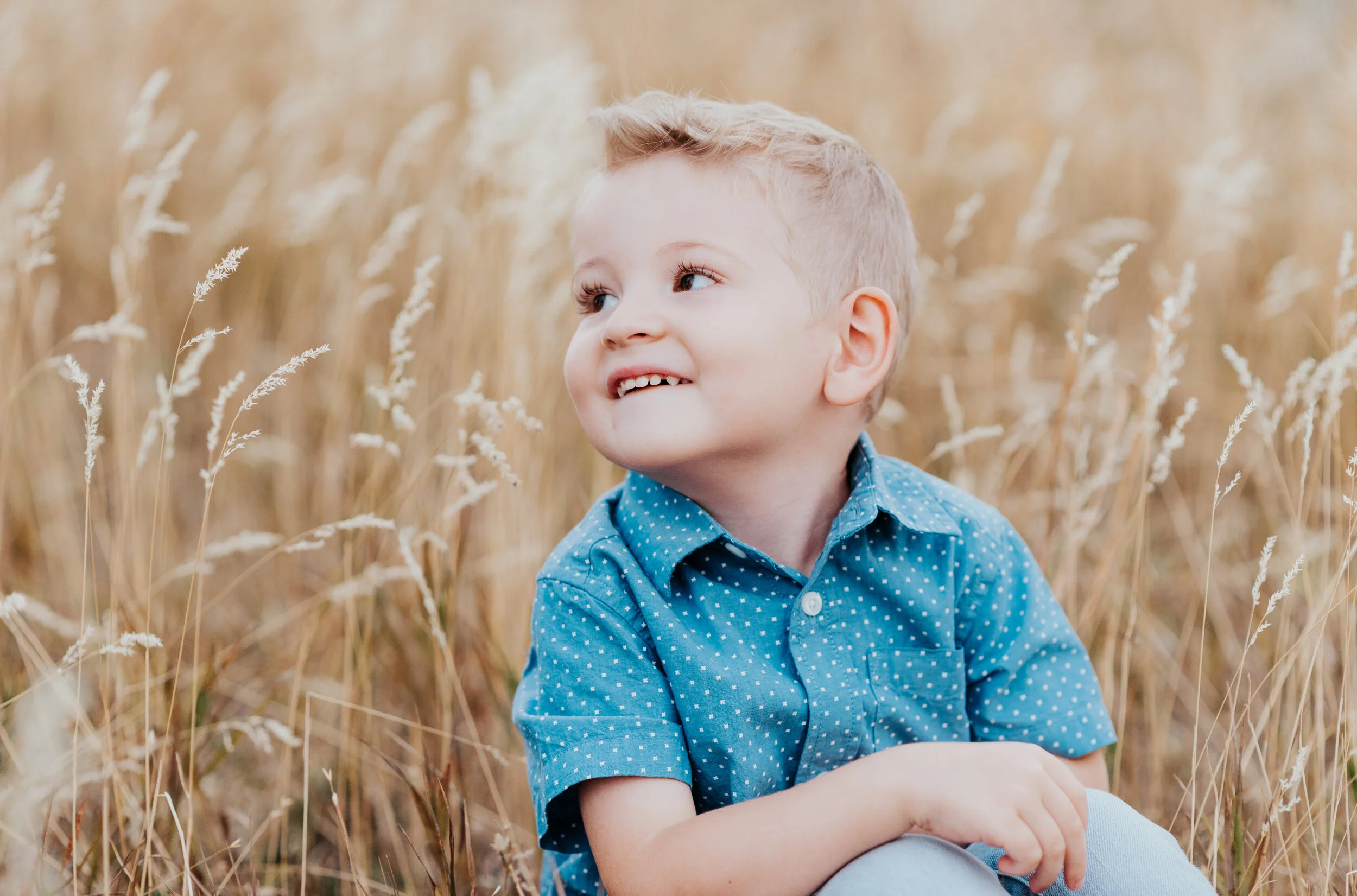 Blonde haired blue eyed little boy smiling at something in the distance while sitting in the tall grass. sweet parent and children poses baby announcement in family portraits in logan utah cache valley photographers in northern utah professional pho…