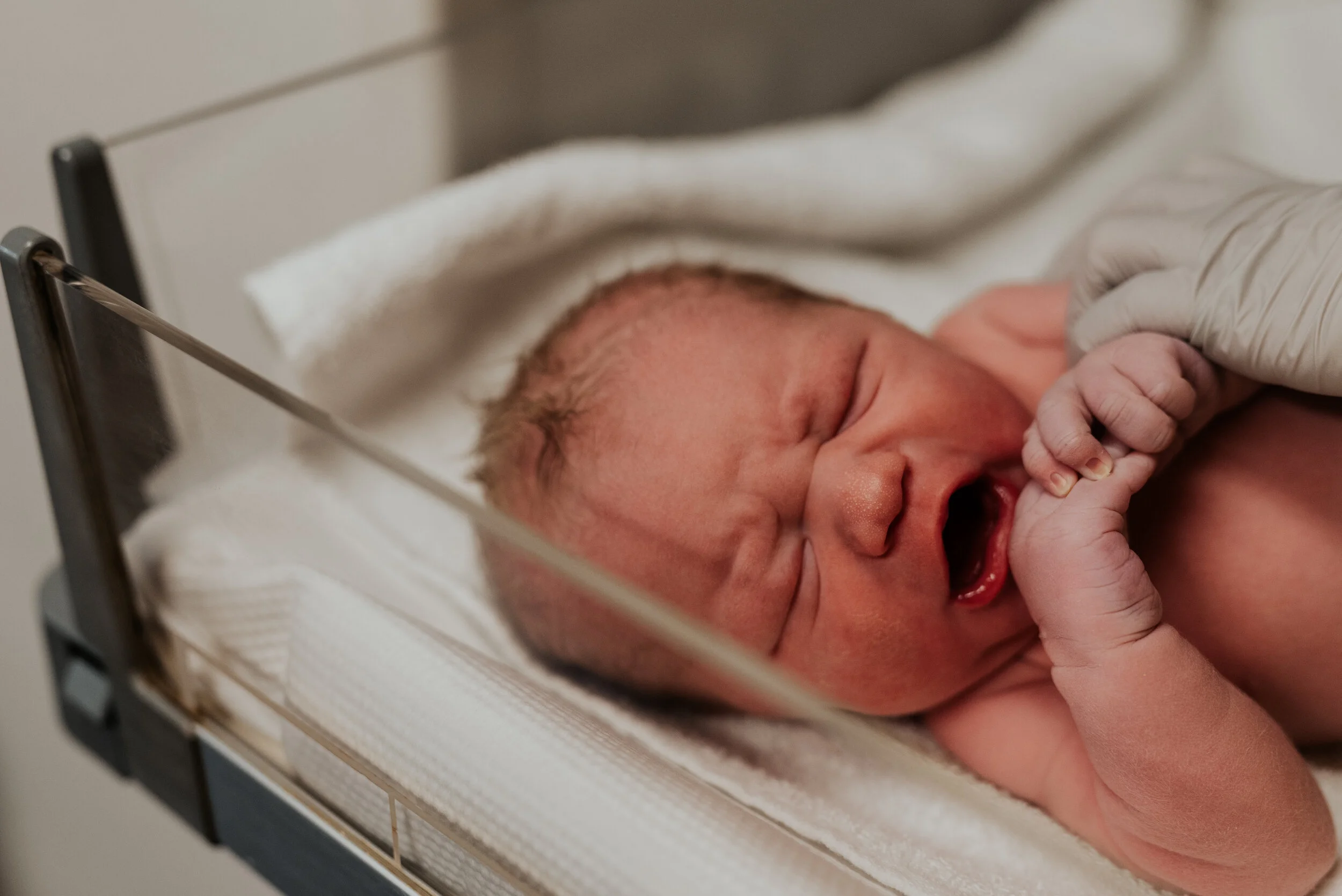 Holland Birth Story | Logan Birth Photographer