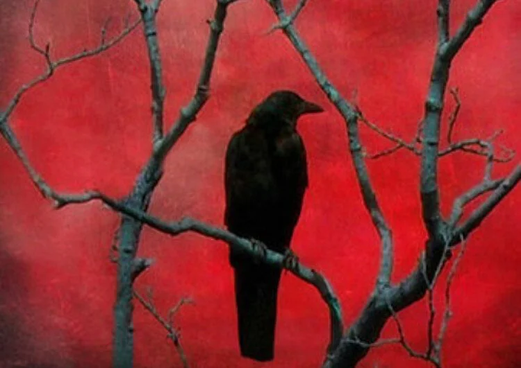 File 2017-11-17, 7 47 46 PM.jpeg