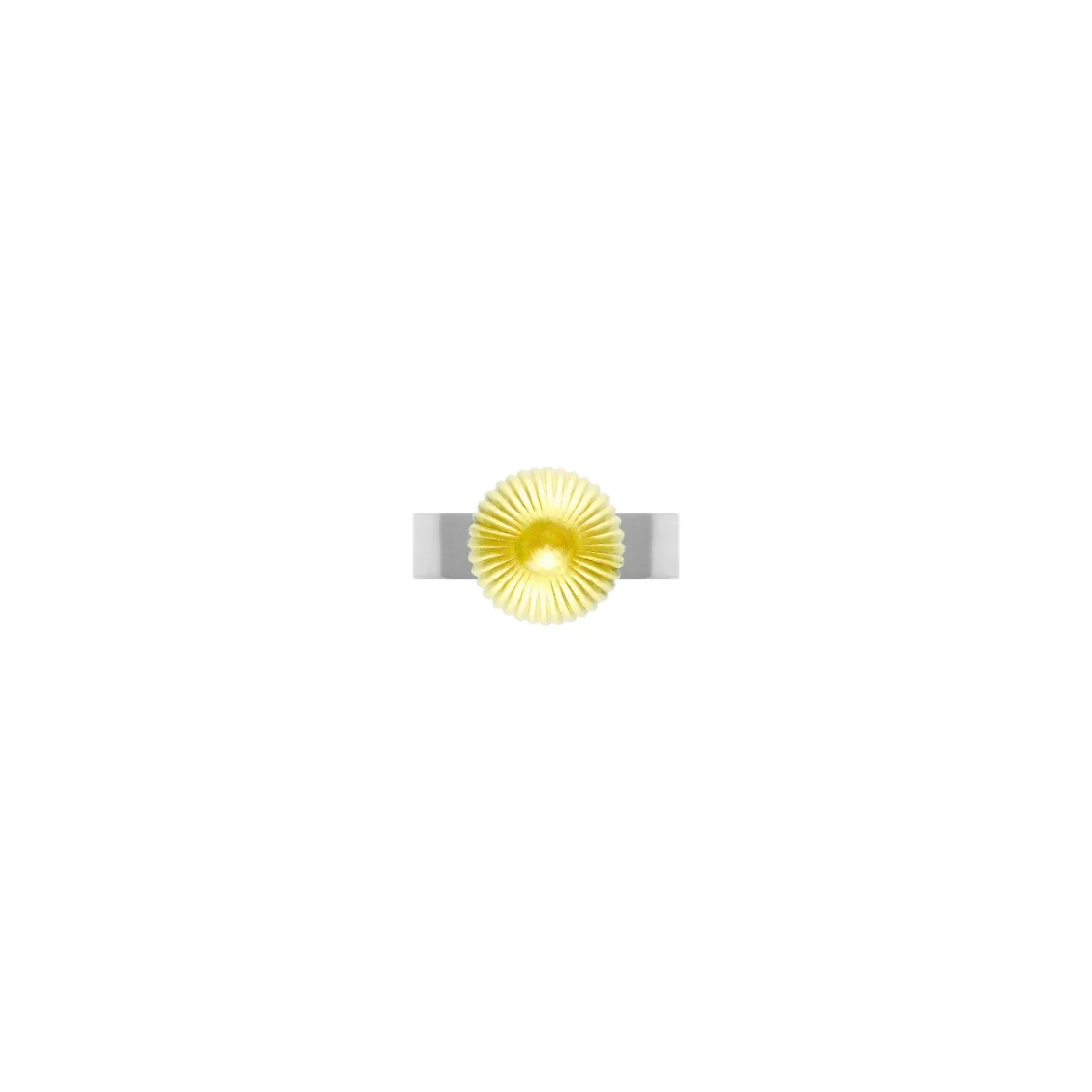 Size 4 gold birds eye view.jpg