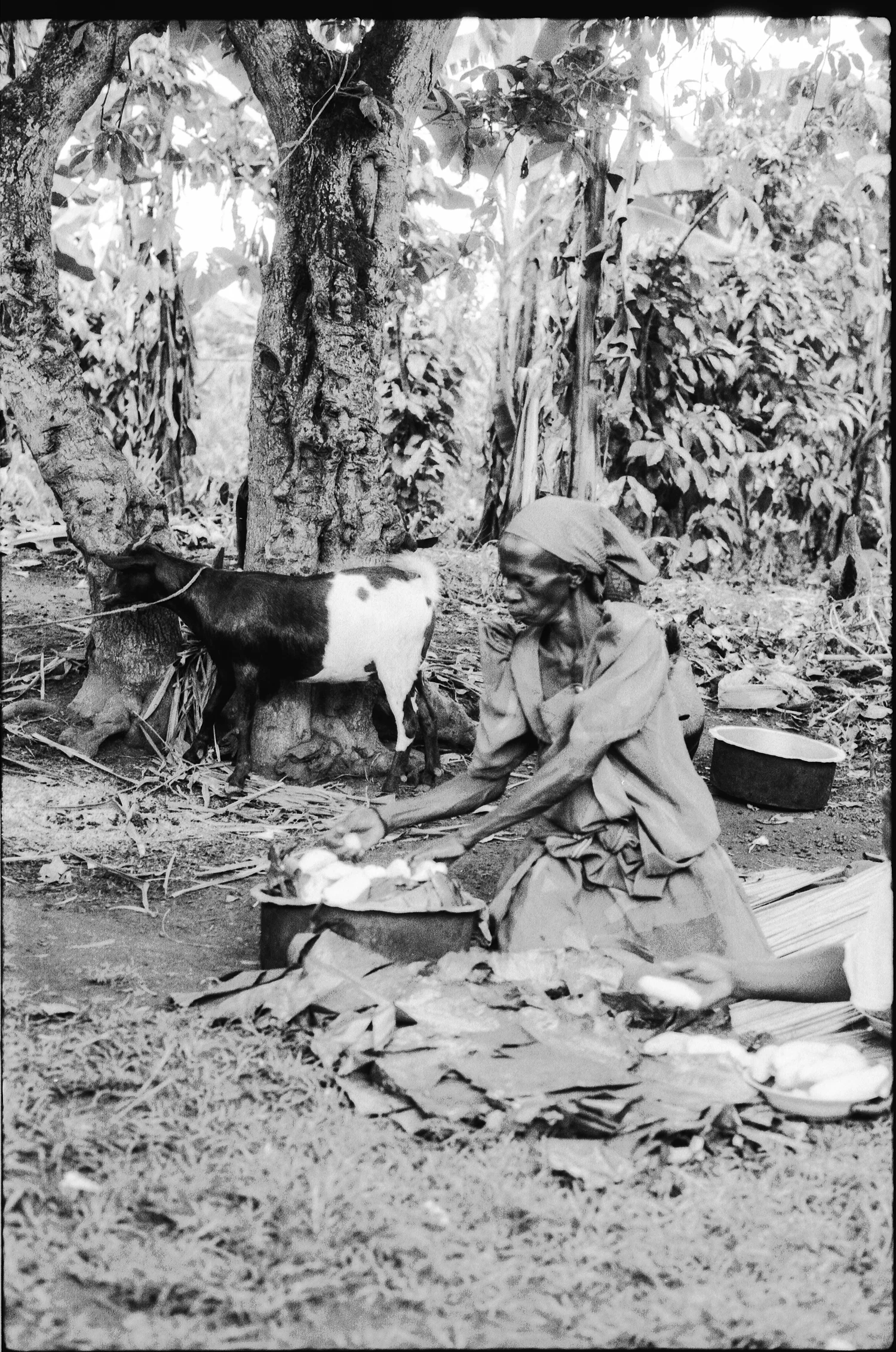 WOMAN & GOAT