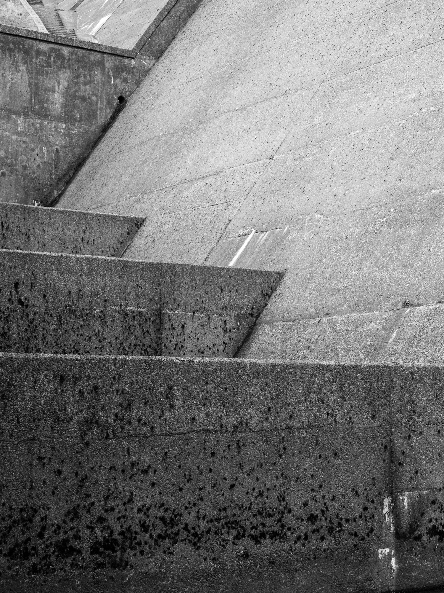 DAM STEPS