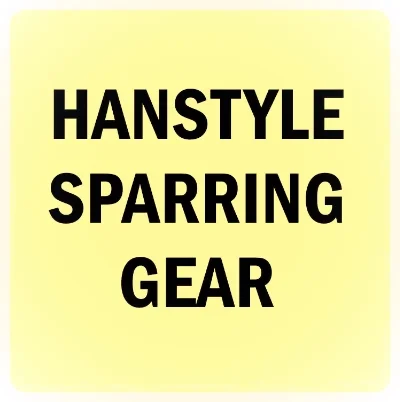 Hanstyle Sparring Gear.jpg