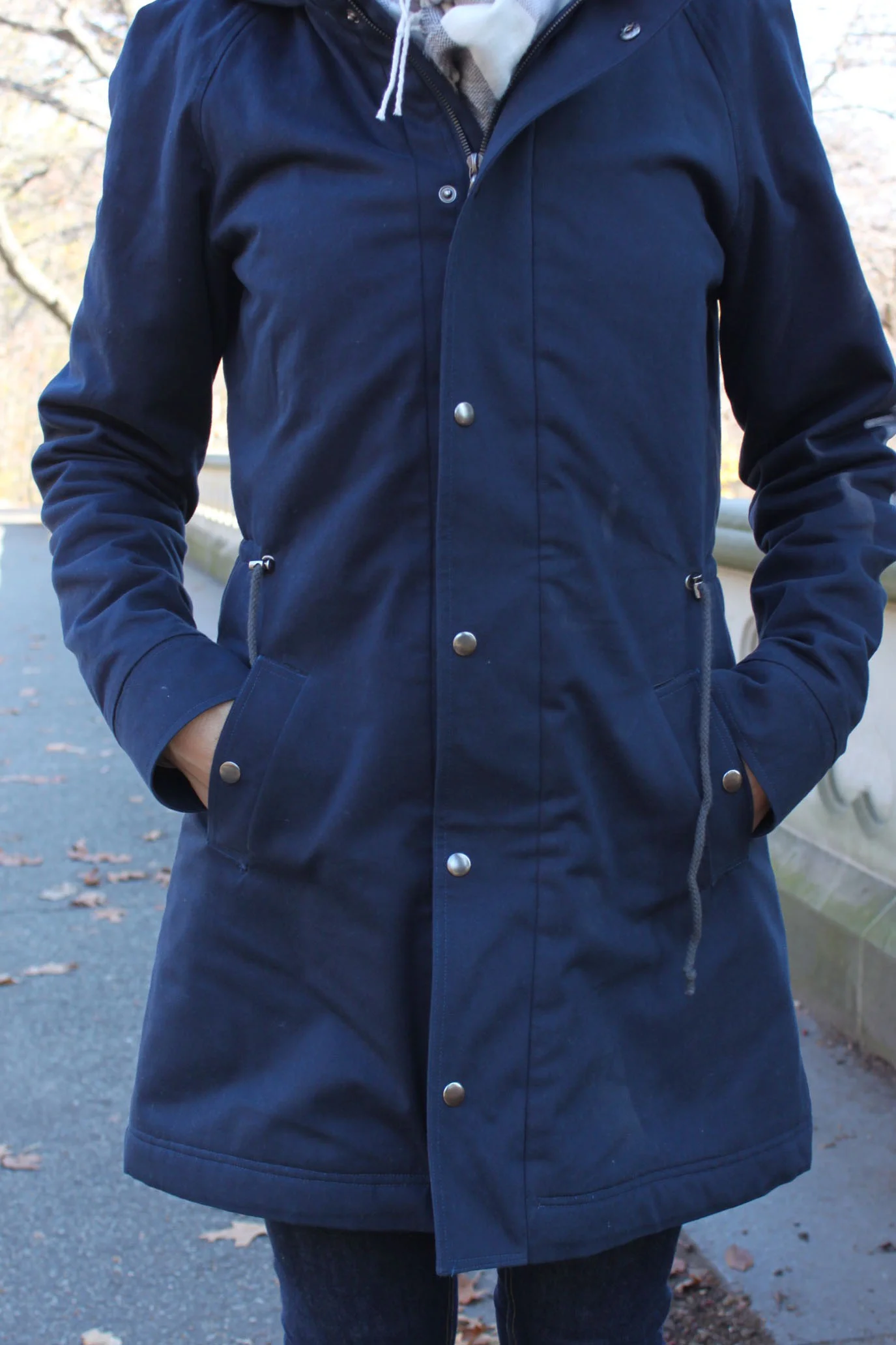 Minoru4.jpg