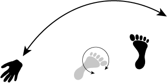 extension rotational reach.png