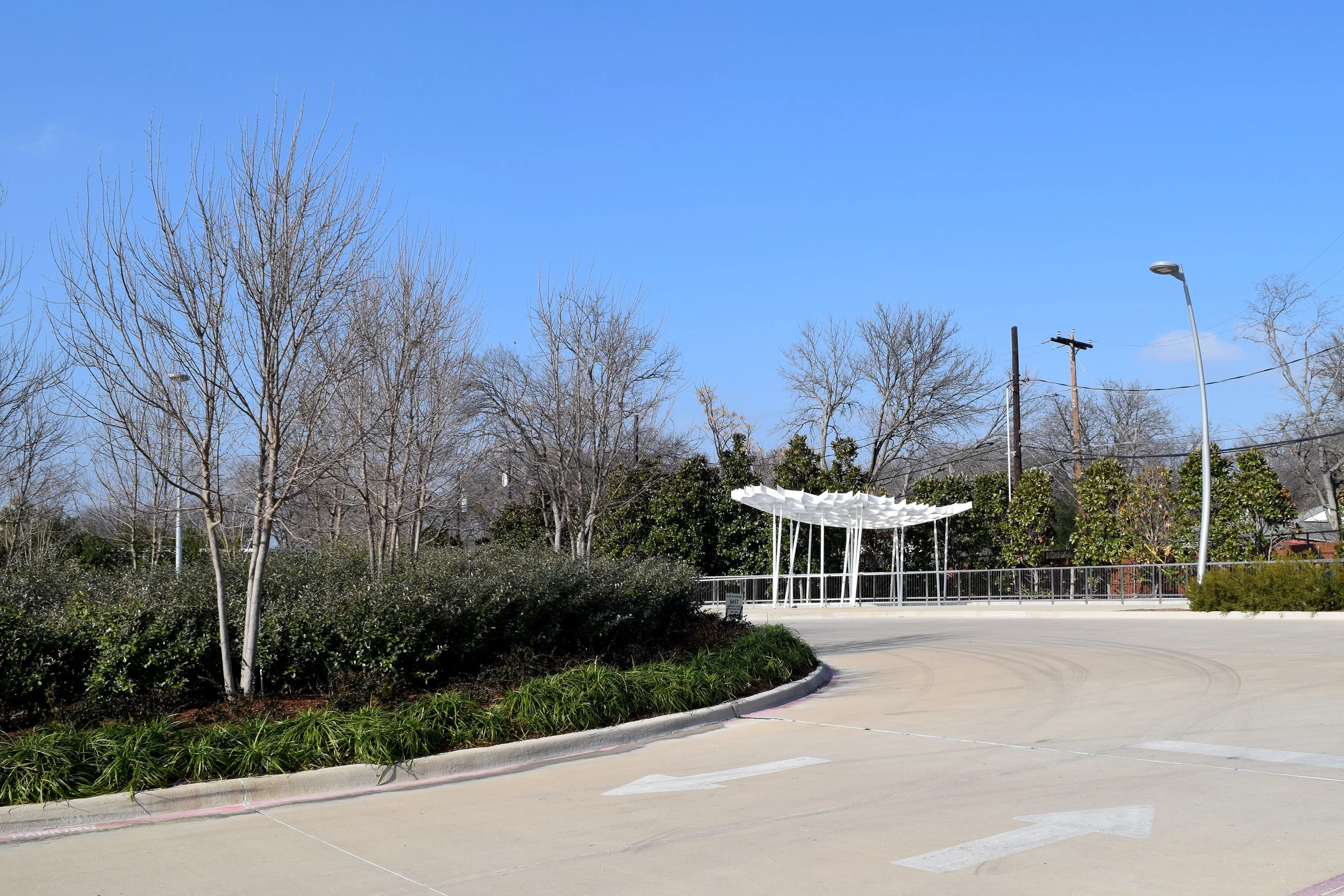 Leaf Structure — Murray Legge Architecture