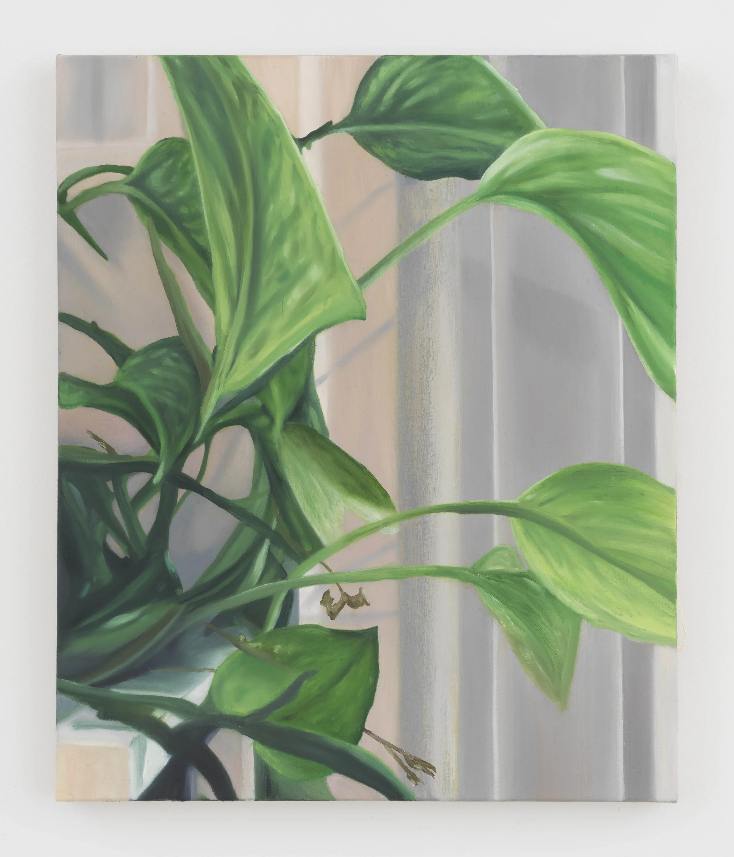   House Plant,  2021, Oil on canvas, 24 x 20 inches 