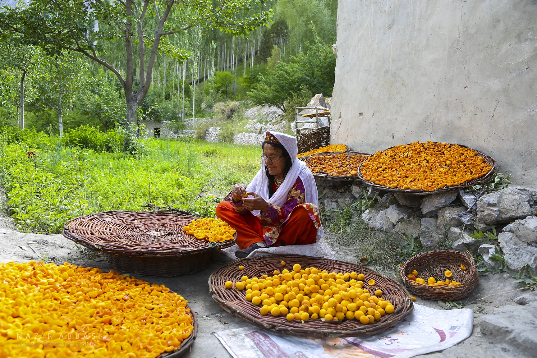Apricot drying in Hunza
