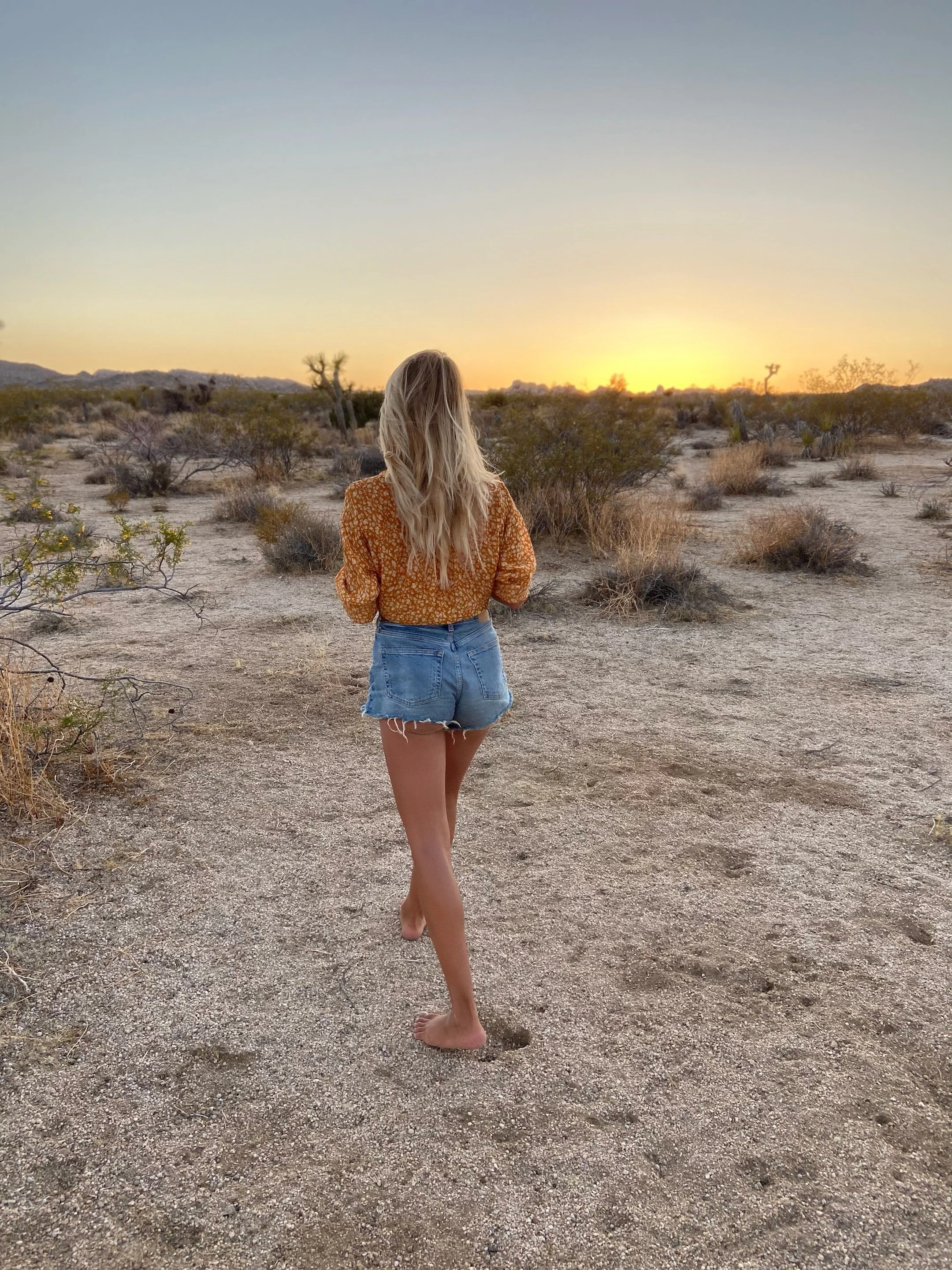 chapter three: into the woods! 