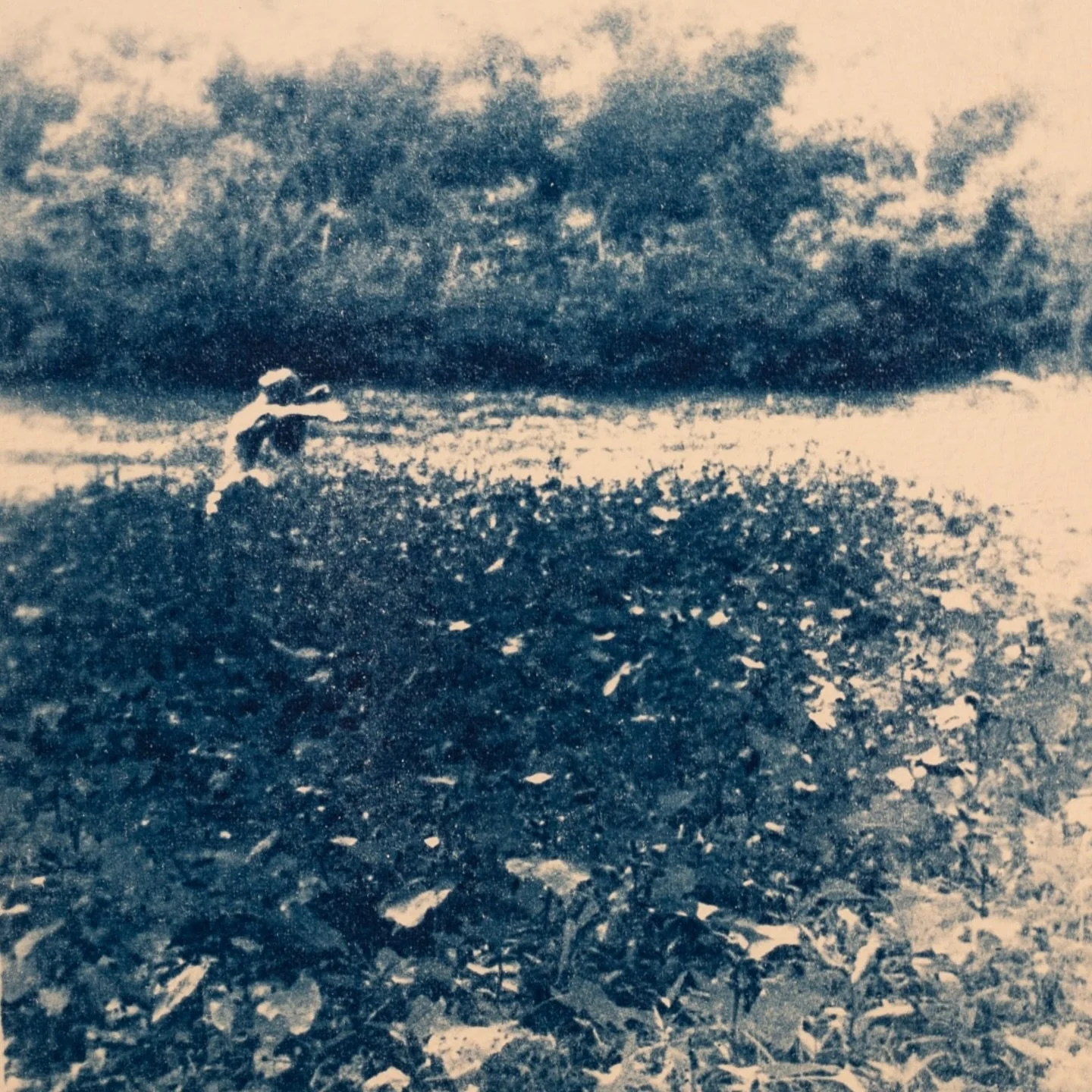 Just released two new songs on all streaming platforms this weekend! They are the bonus tracks from my album CHAPTERS.  I&rsquo;d love it if you took some time to check them out and let me know your thoughts. 🙏💙

The artwork was created by my dear 