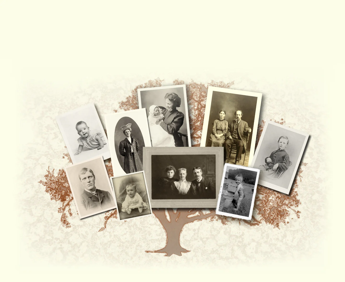 tree7.jpg
