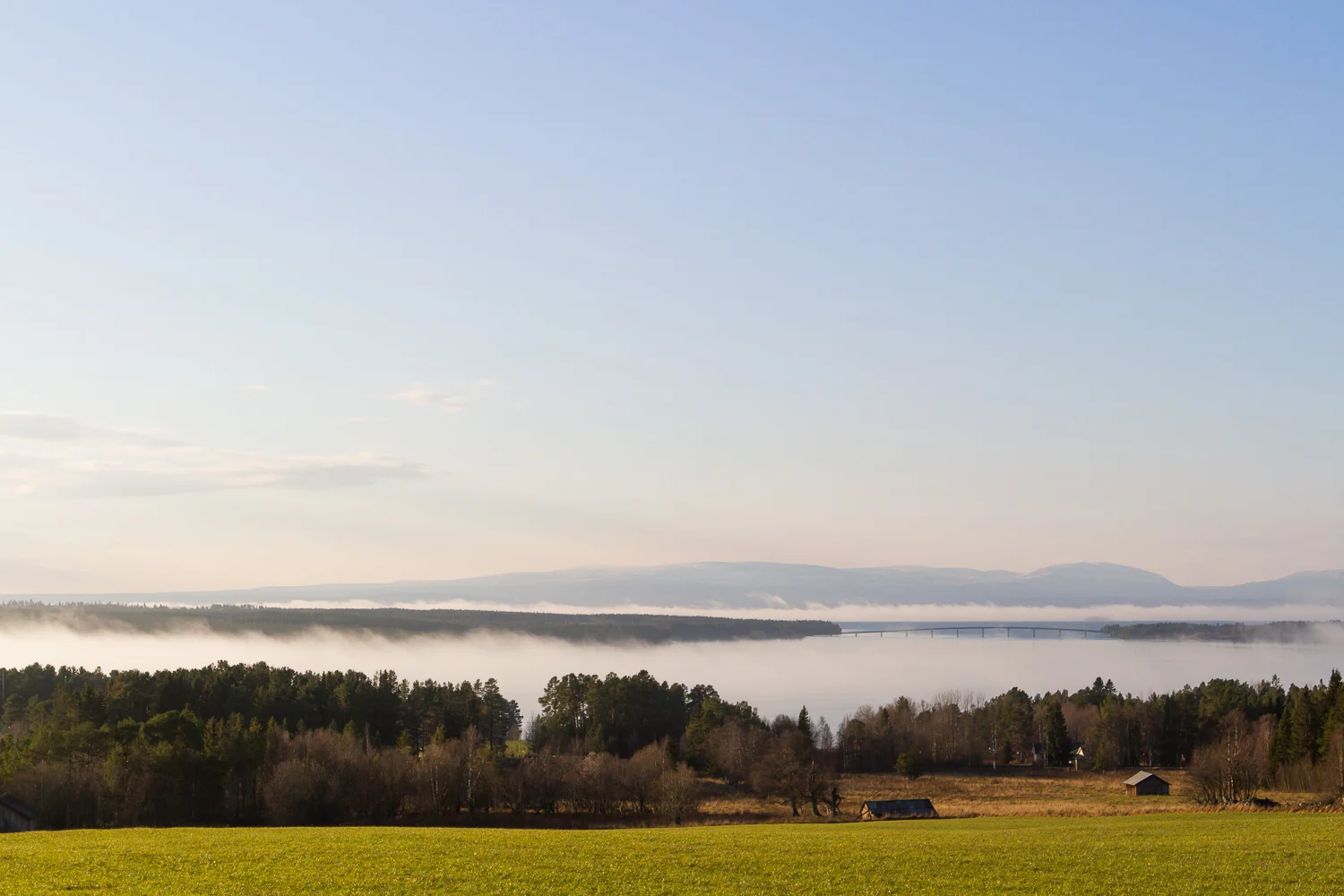 natur.jpg