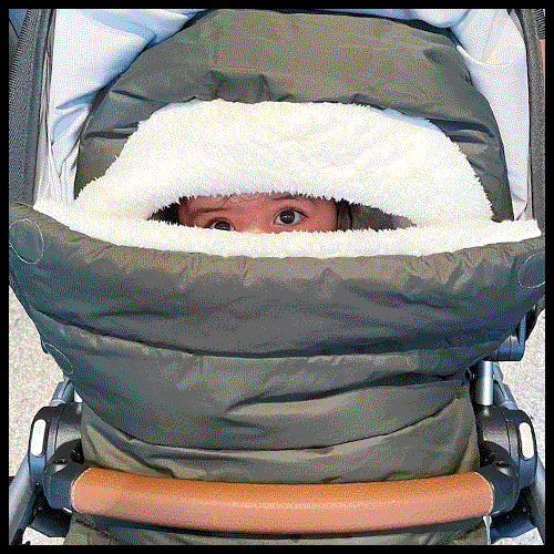 The What? Pushchair guide