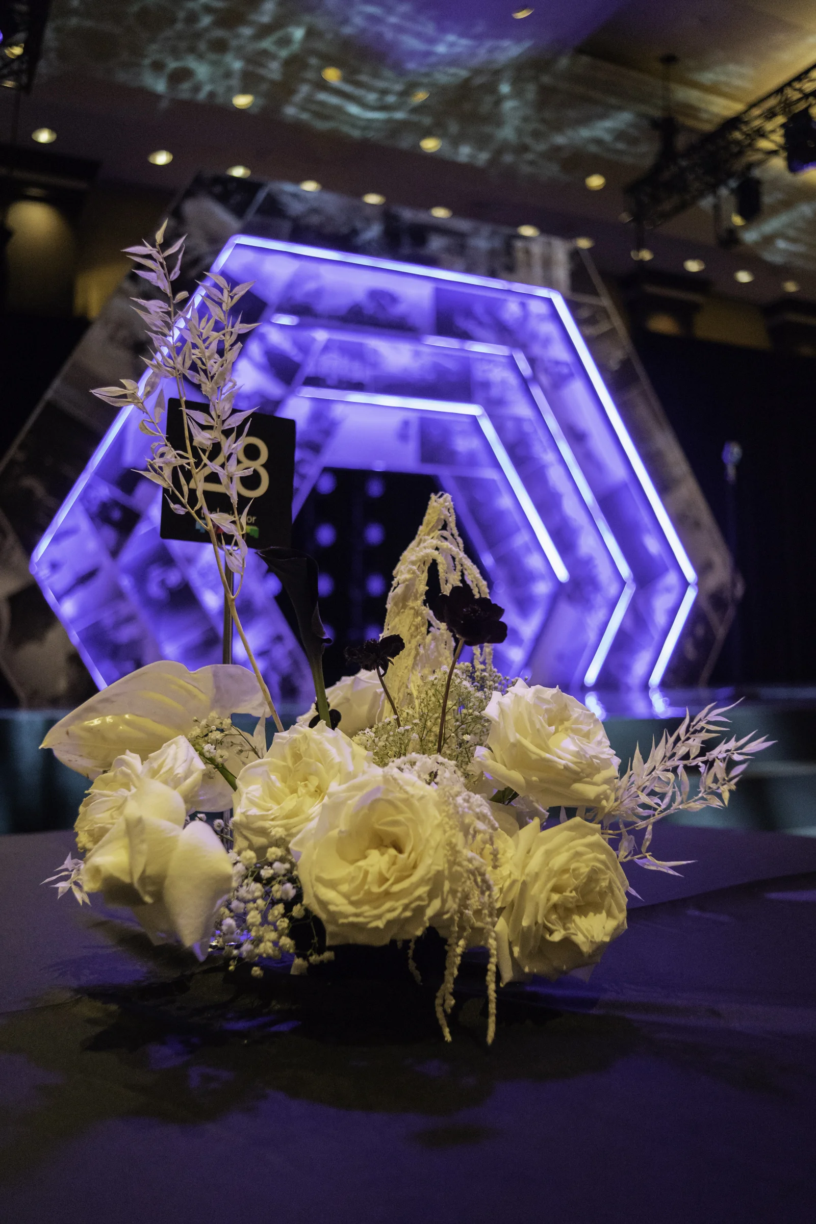 centrepiece Triga_0ct 2018_smsize-25.jpg