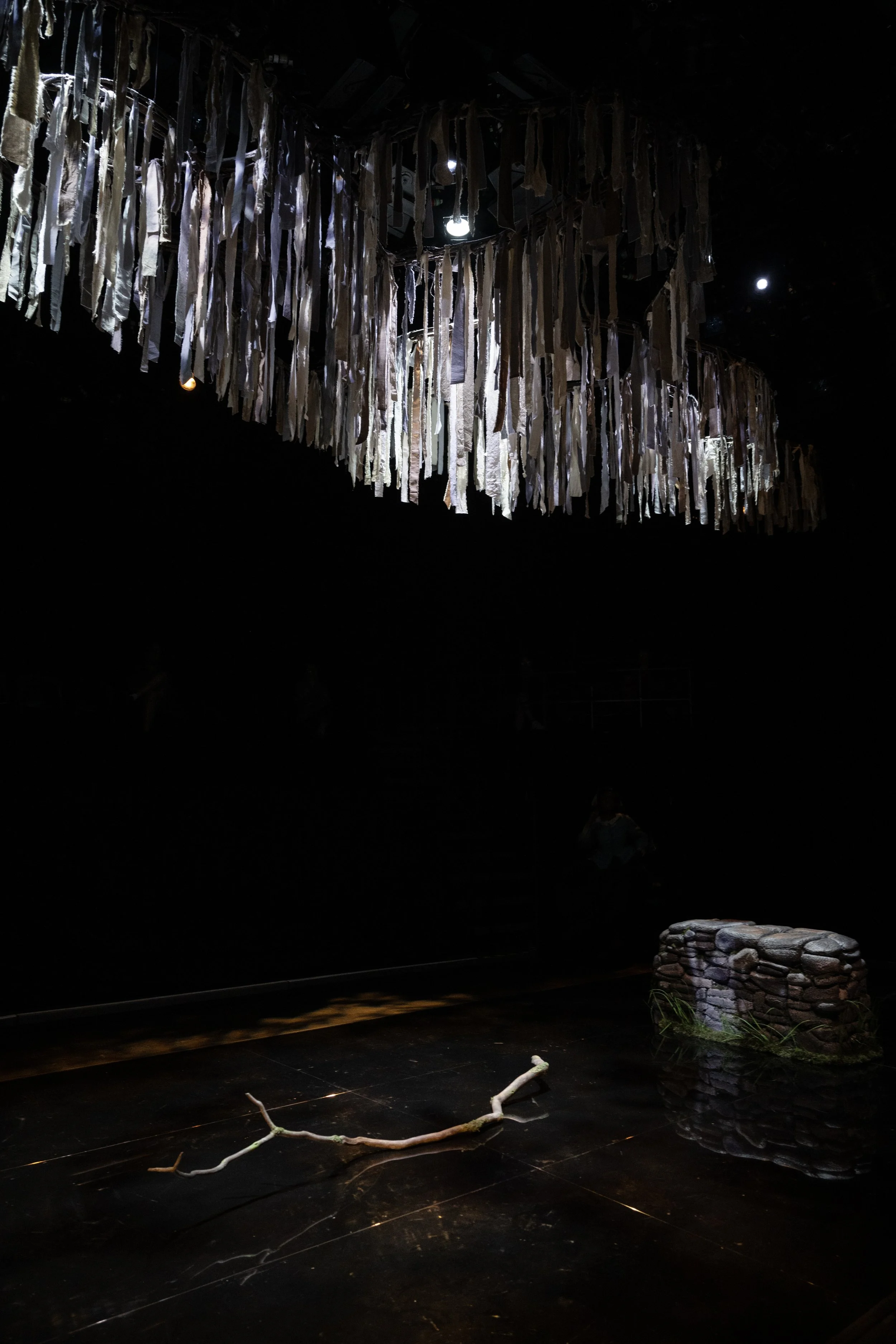 The Clearing_D1_0006_DC.jpg