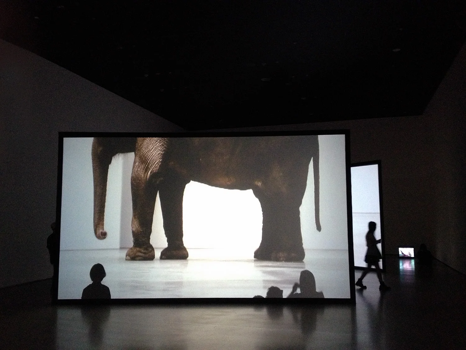 MOMA_2056_web.jpg