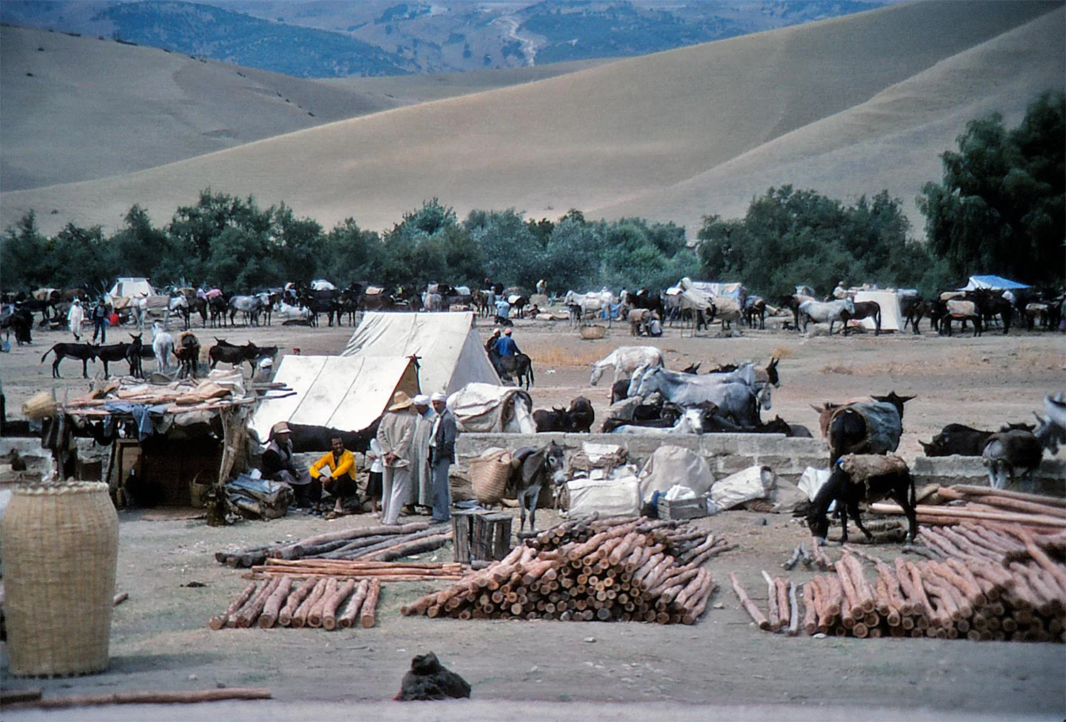 Roadside Market, Morocco