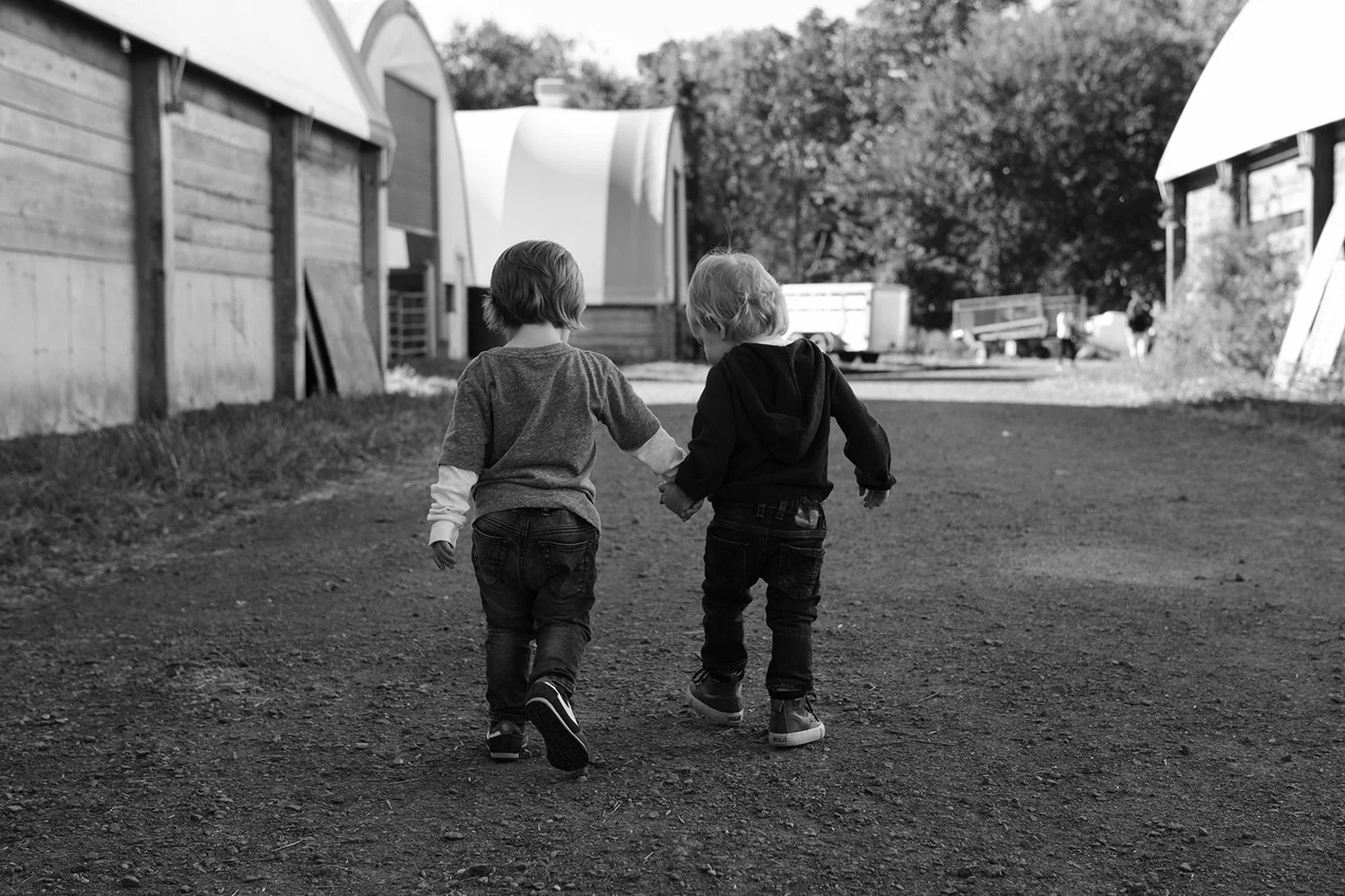 DSC_6521_Rhys Riley_bw_web.jpg