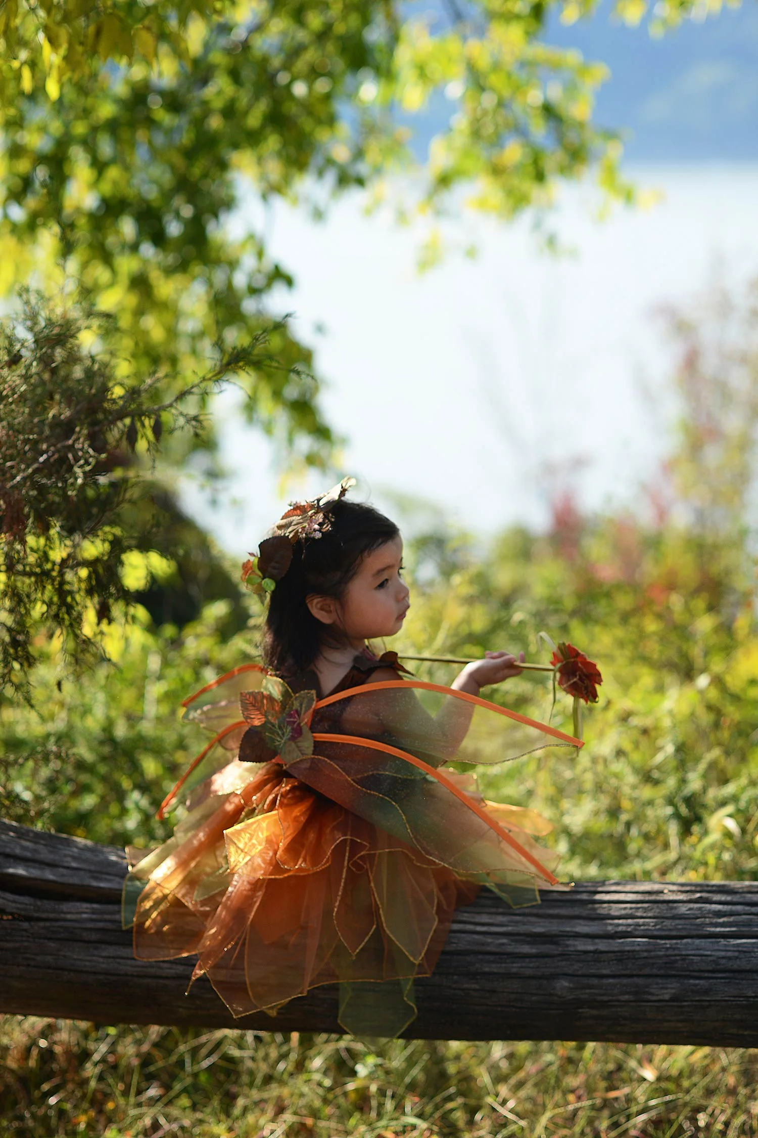 DSC_6438_Fairy 02_web.jpg
