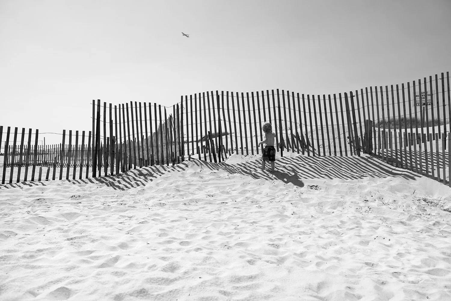 DSC_7919_bw_lite_Rhys_web.jpg