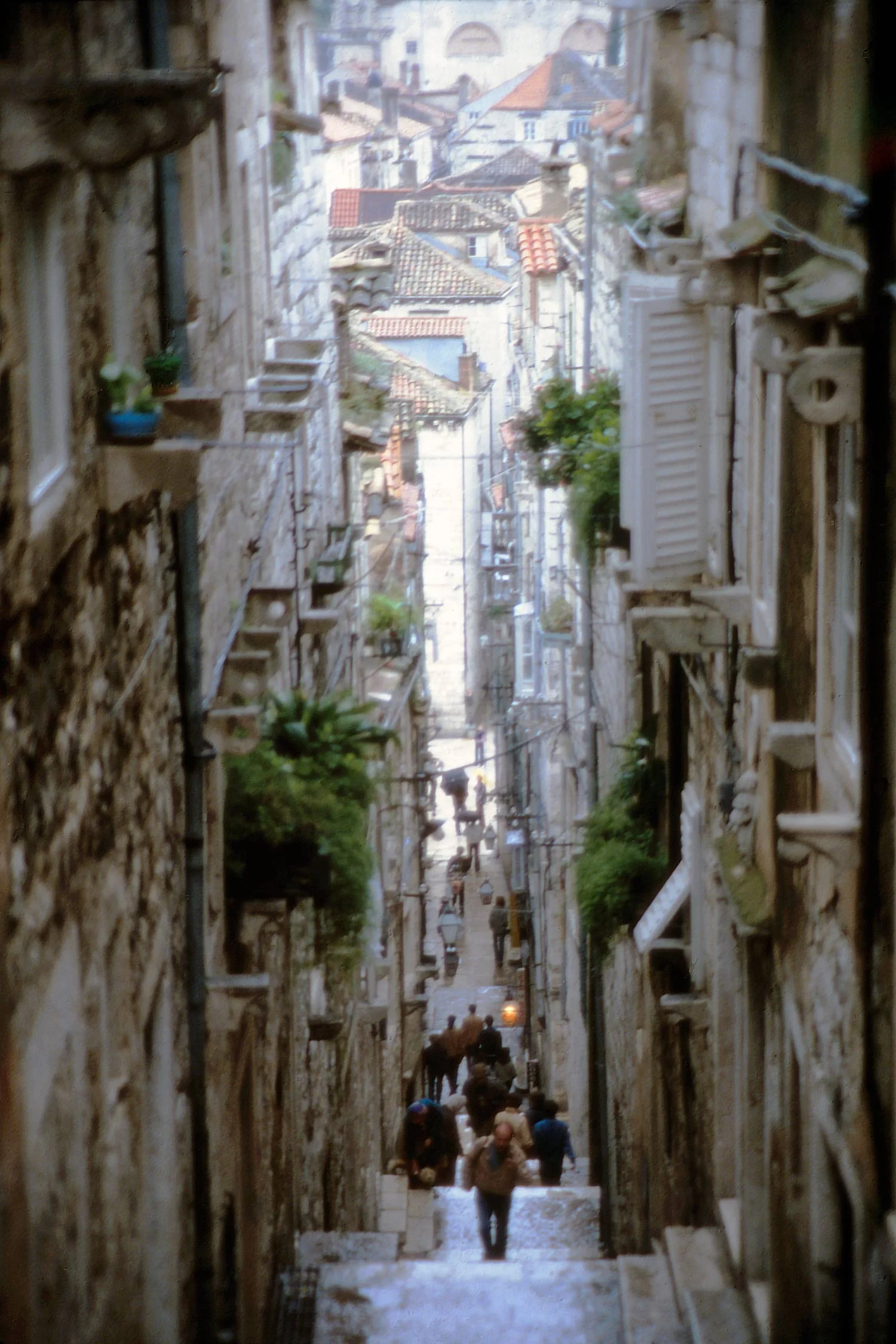Dubrovnik