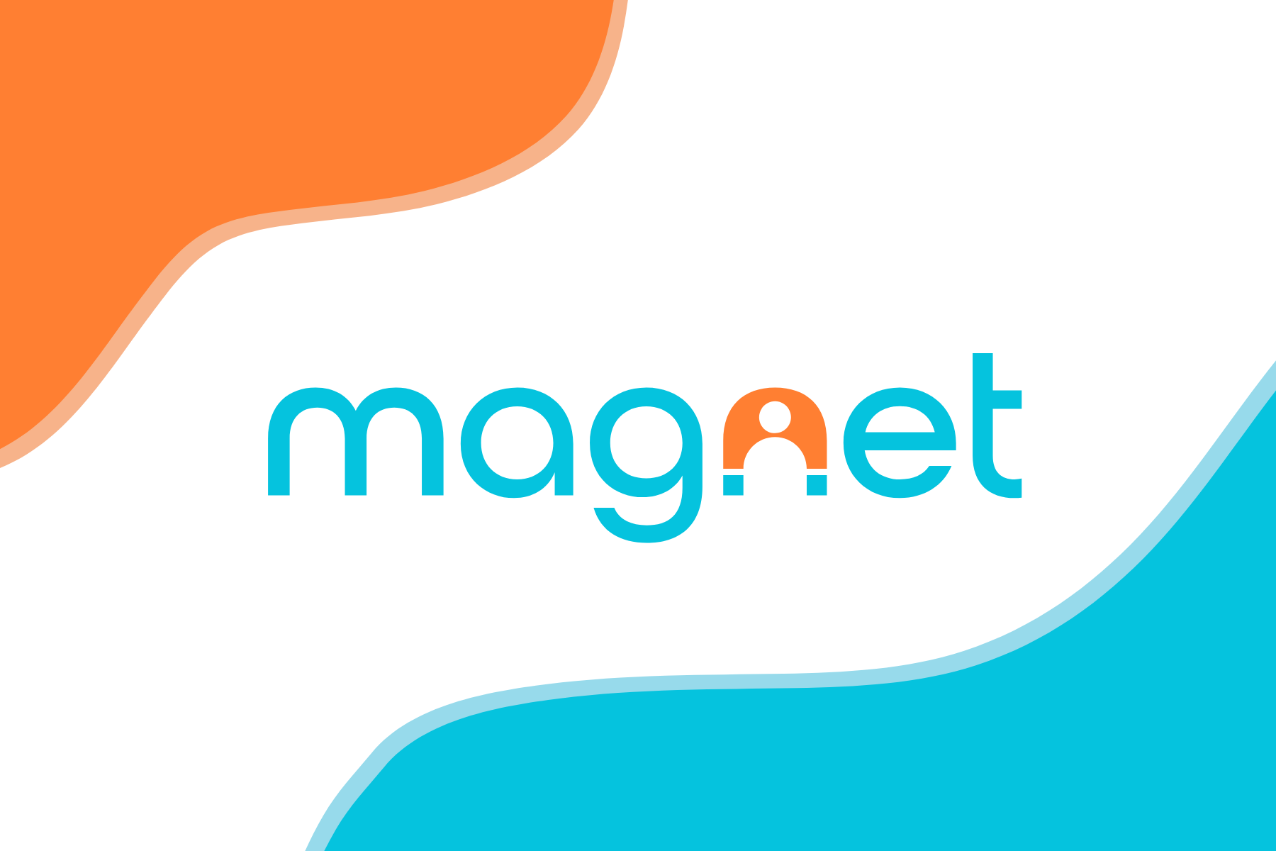 Magnet