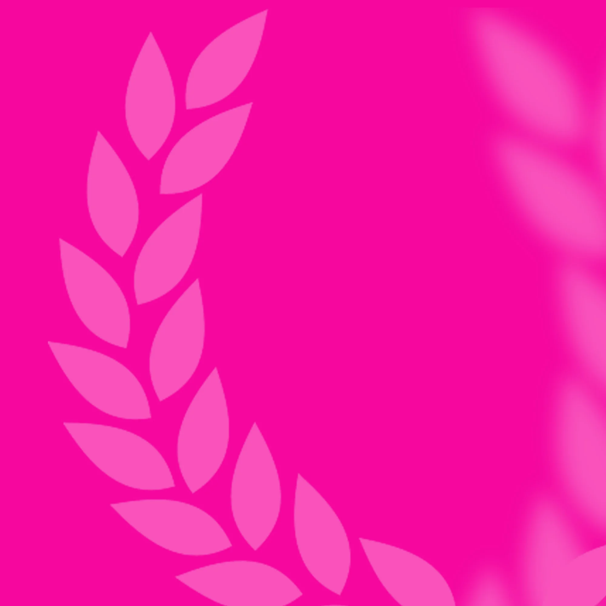 magenta con LG.jpg
