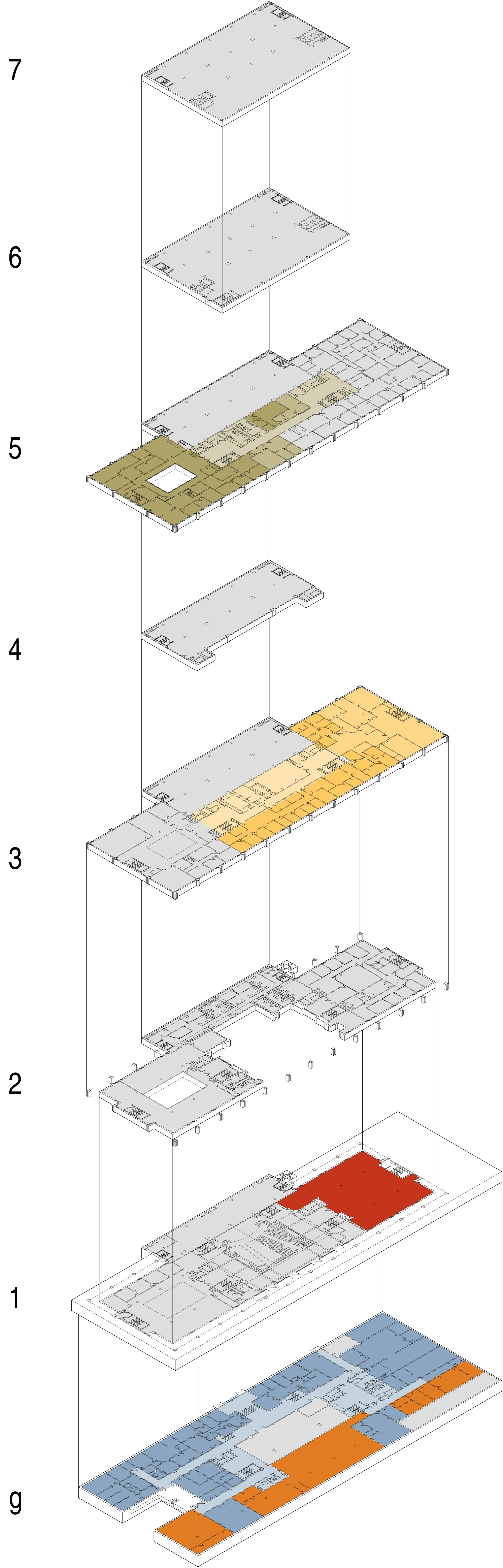 A2.X AXON COLOR ORIGINAL.jpg
