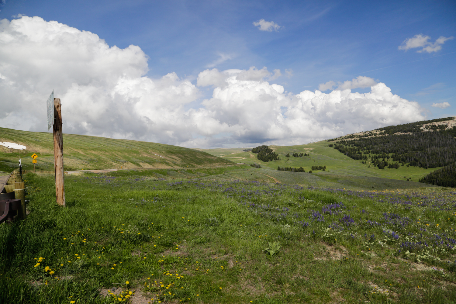 OutWest-6.jpg