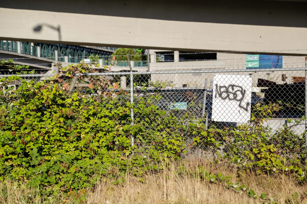 Seattle-87.jpg