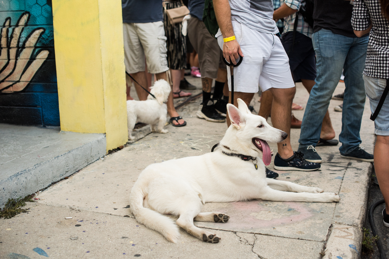WynwoodBrewery_BlockParty-24.jpg