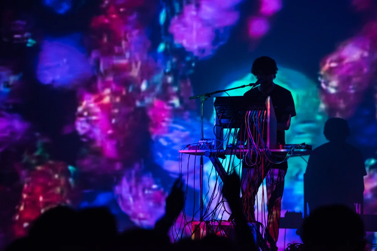 7-Panda_Bear-13.jpg