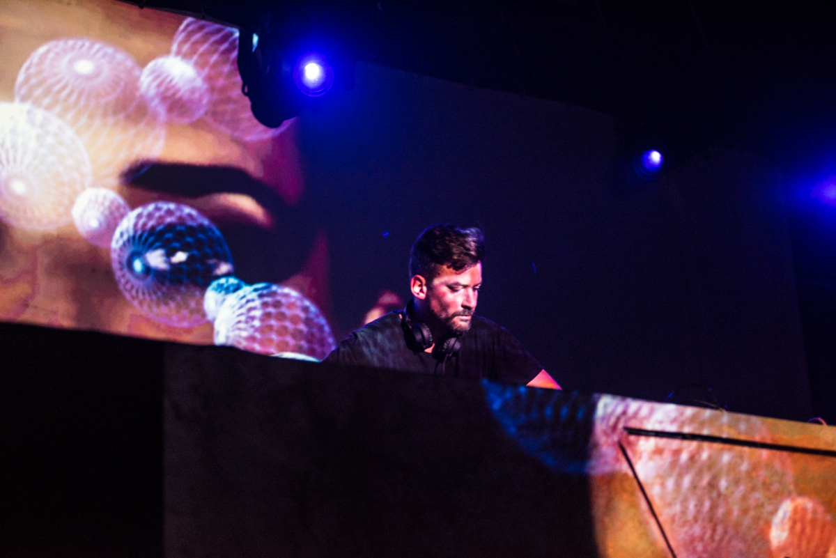 9-Bonobo-3.jpg