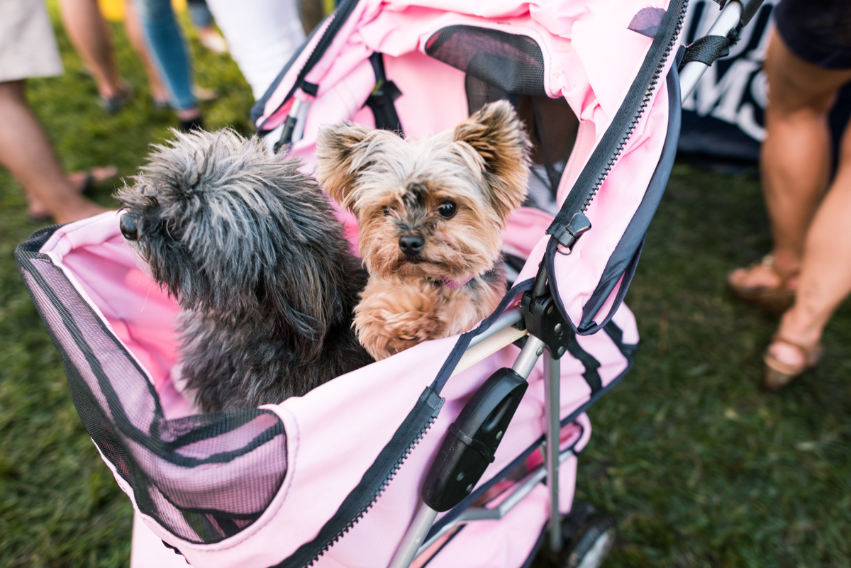 Grovetoberfest-54.jpg